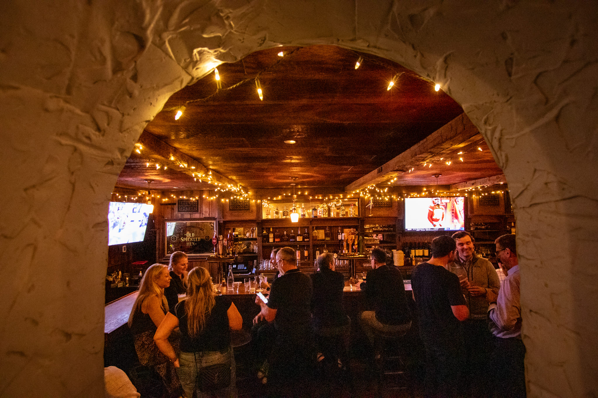 The Shakespeare (Bar Space Hire) 6