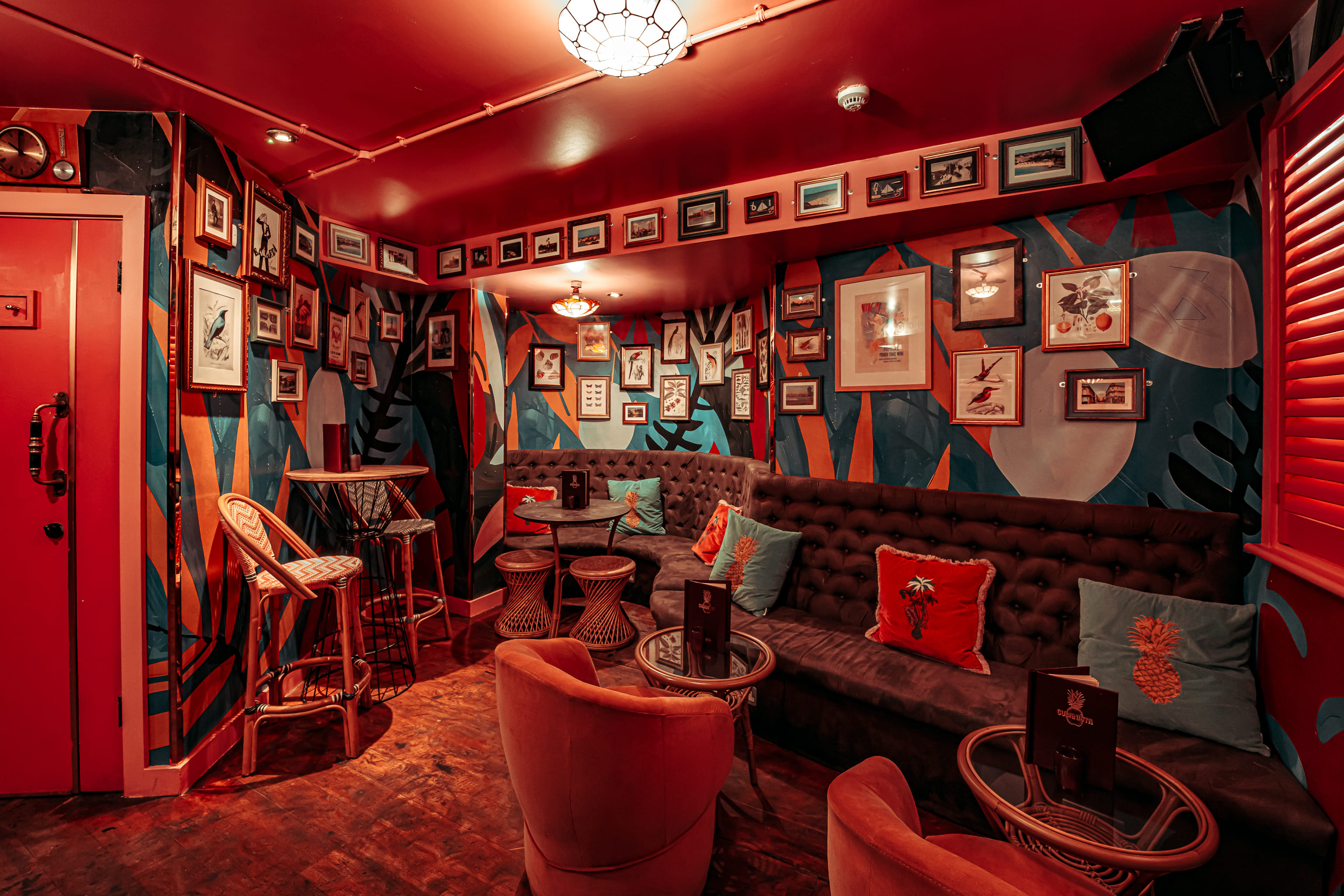 Cubanista in Paloma Chelsea 2