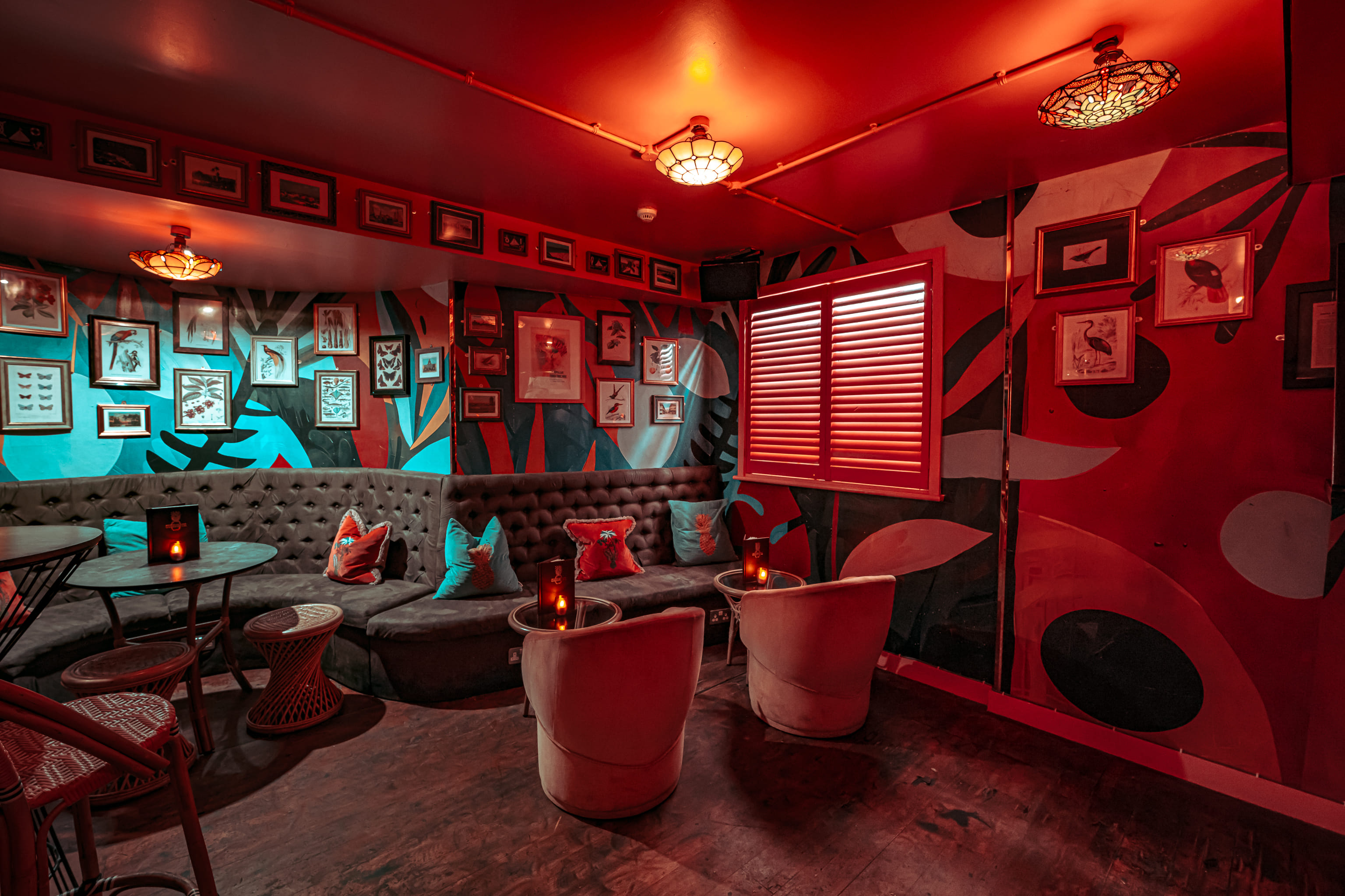 Cubanista in Paloma Chelsea 1