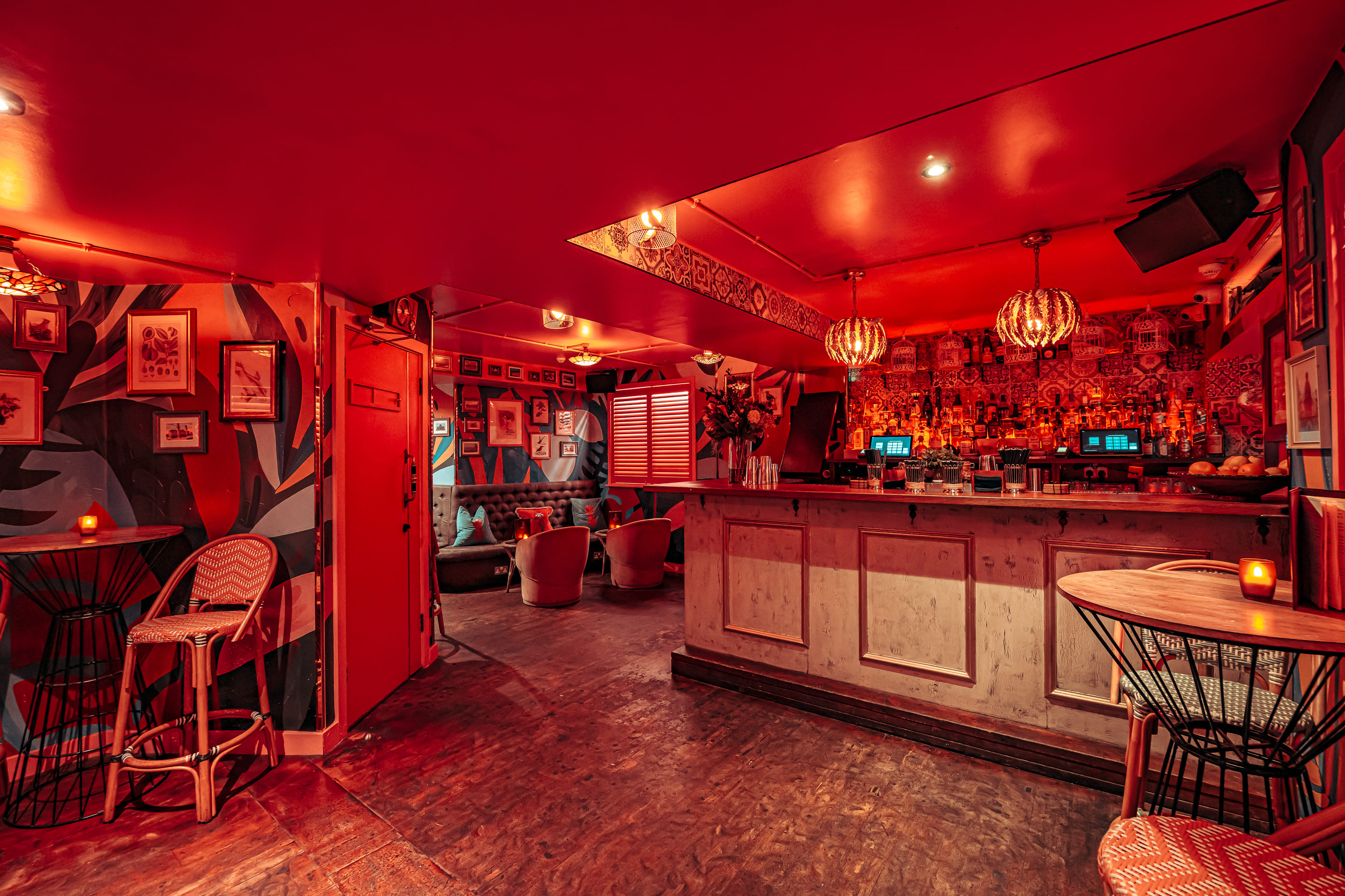 Cubanista in Paloma Chelsea