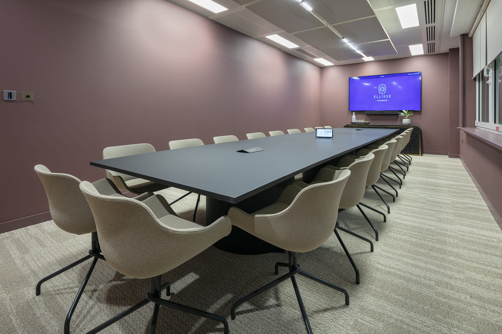 Vista Meeting Room  2