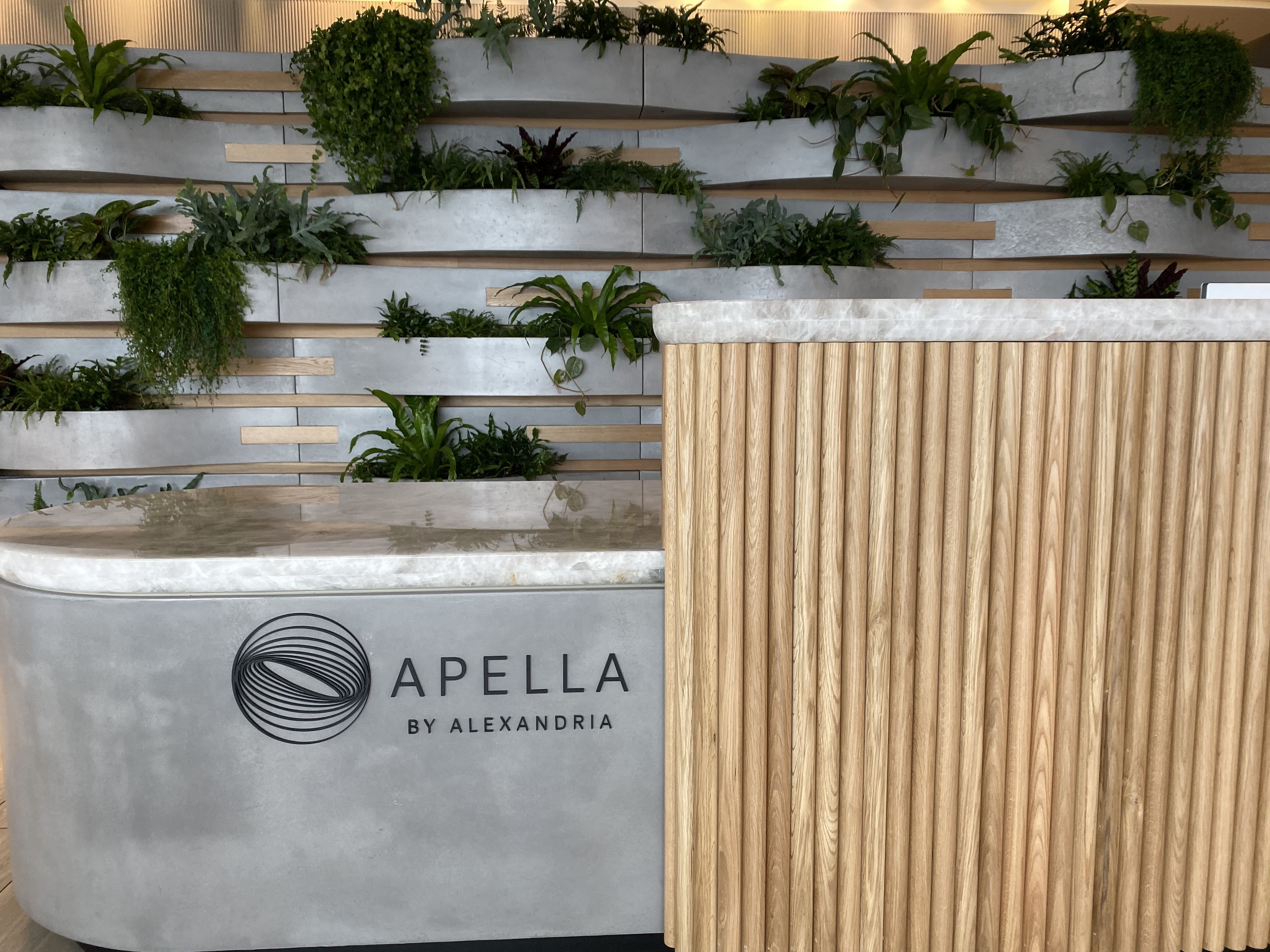 Apella 4