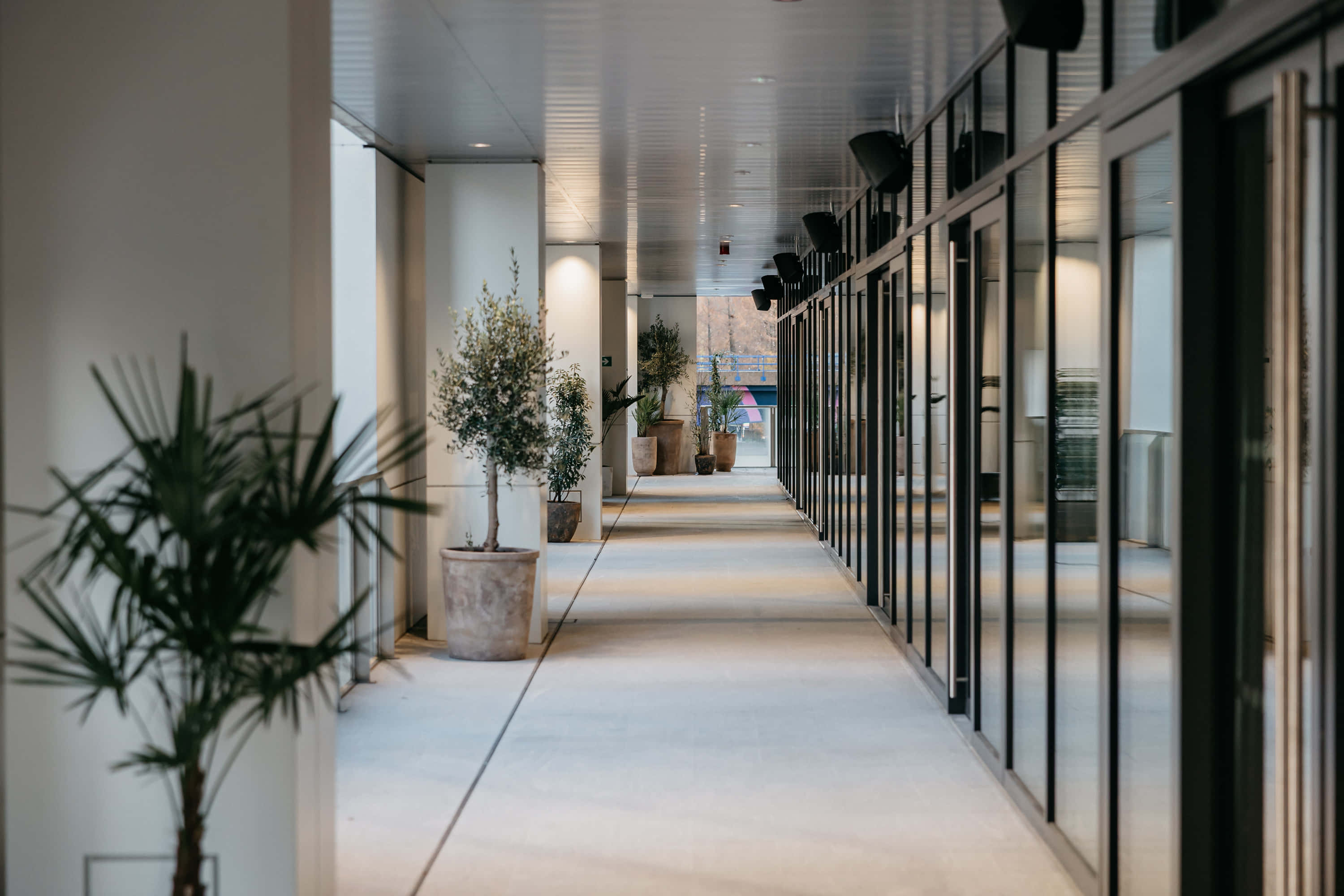 Landing Canary Wharf 6