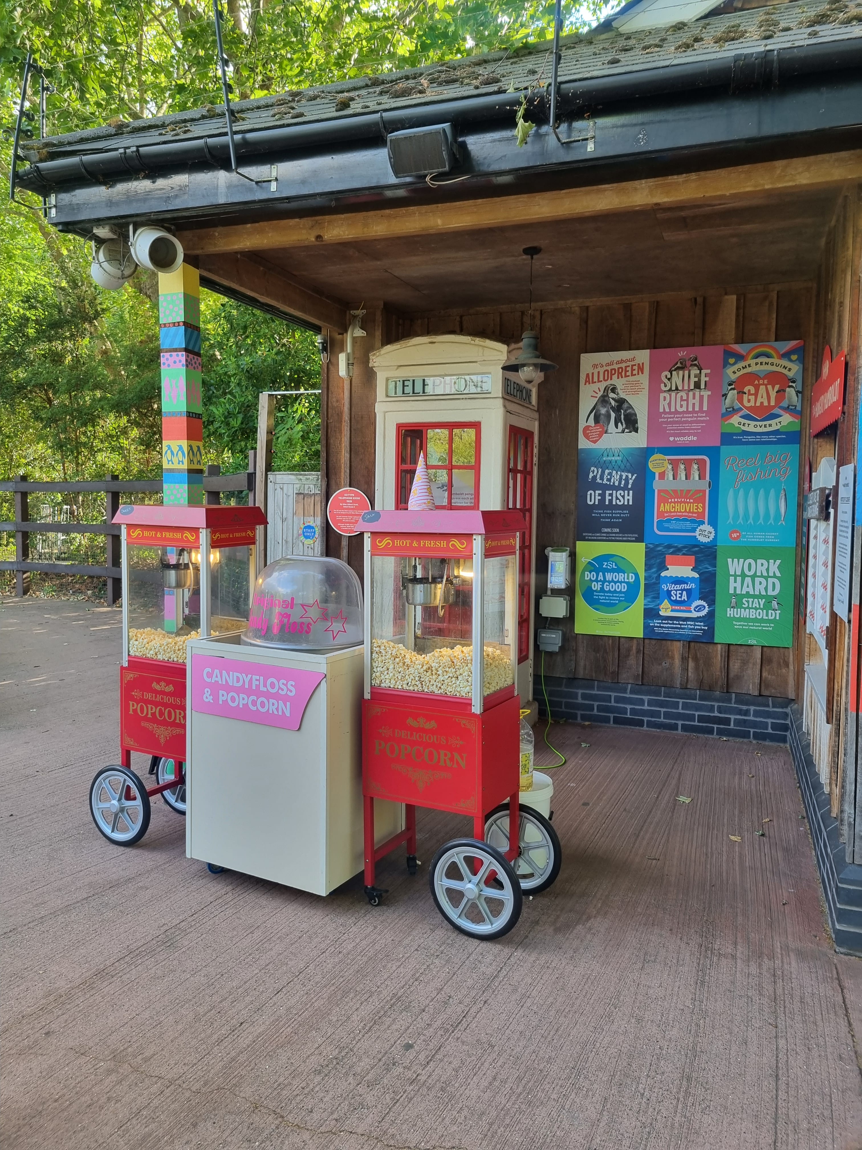 Summer Party Package 2026 3