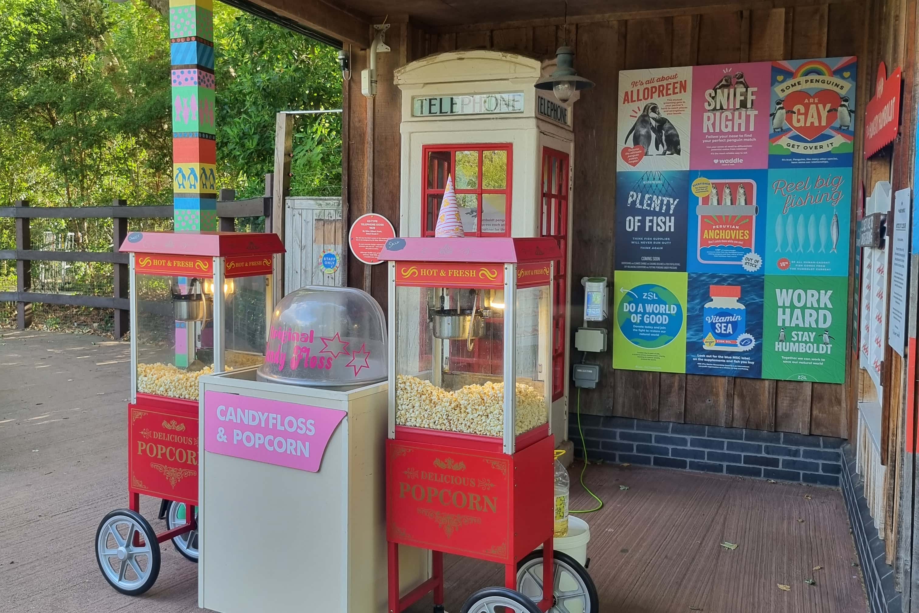 Summer Party Package 2026 3