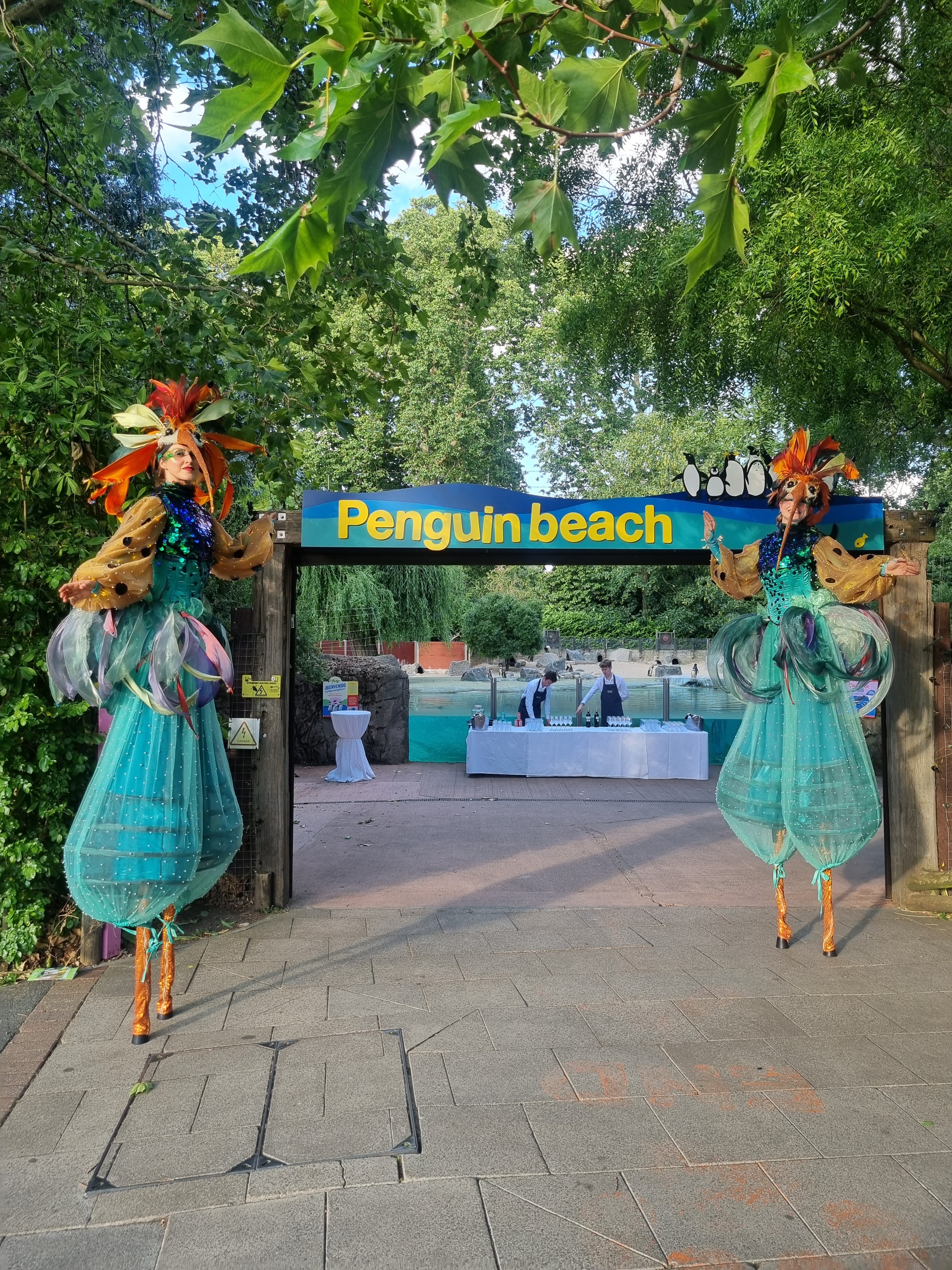 Summer Party Package 2026 4