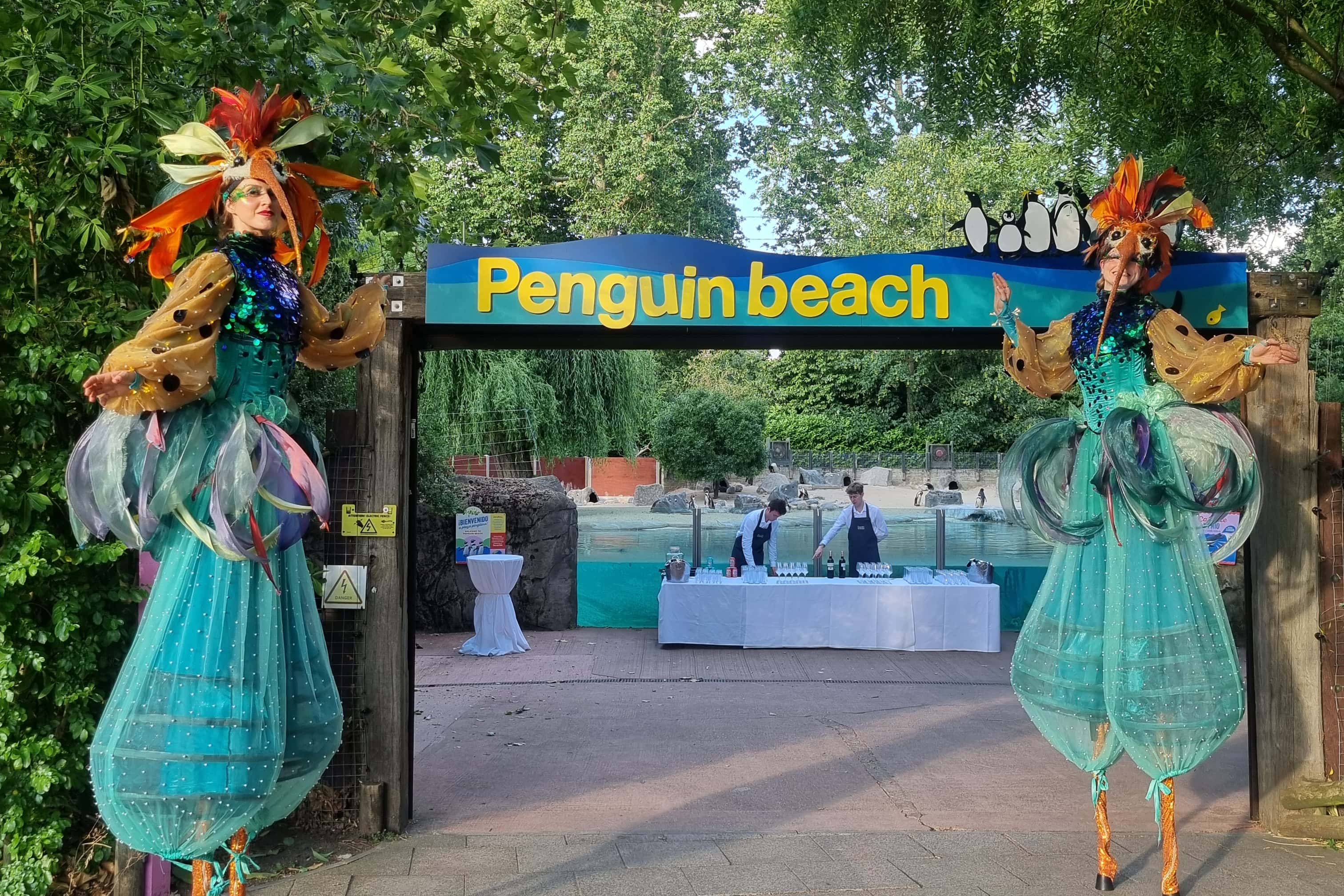 Summer Party Package 2026 4