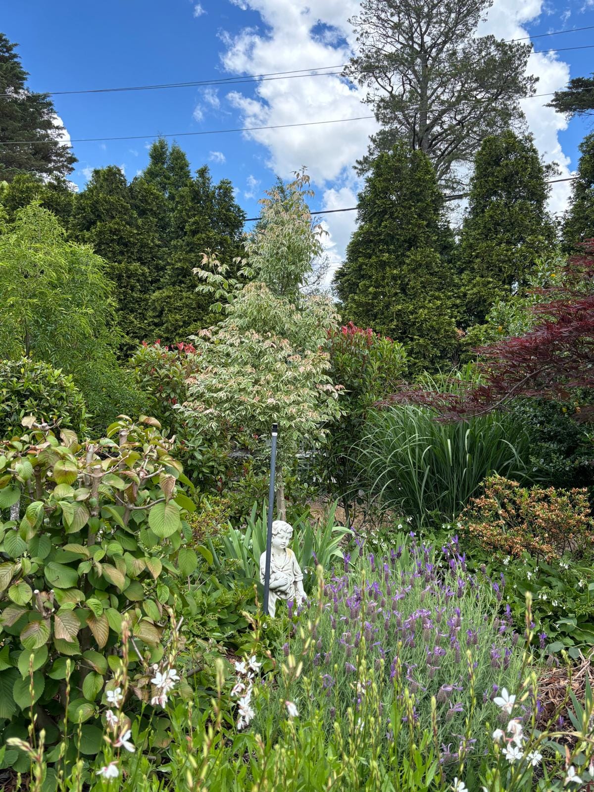 The Secret Garden - Burradoo 12