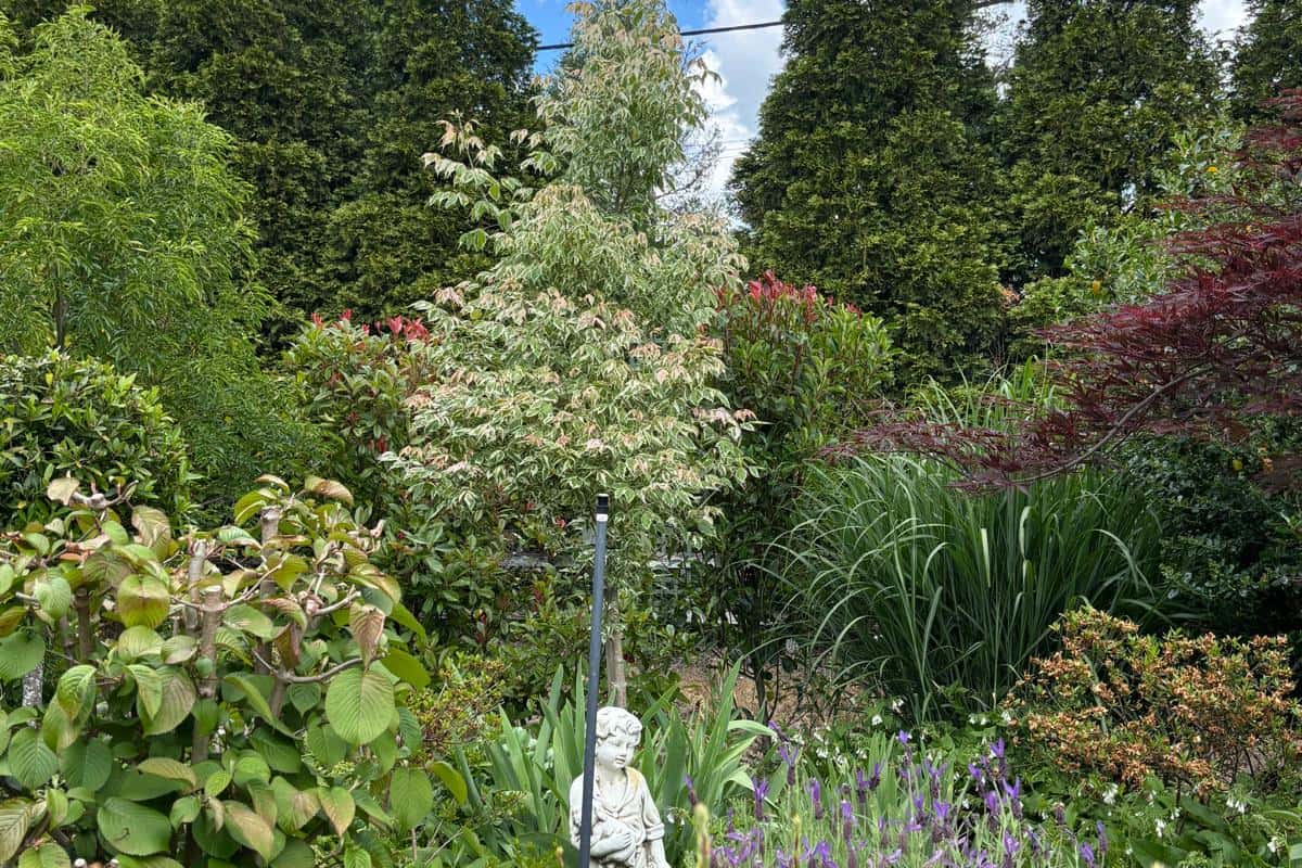 The Secret Garden - Burradoo 12