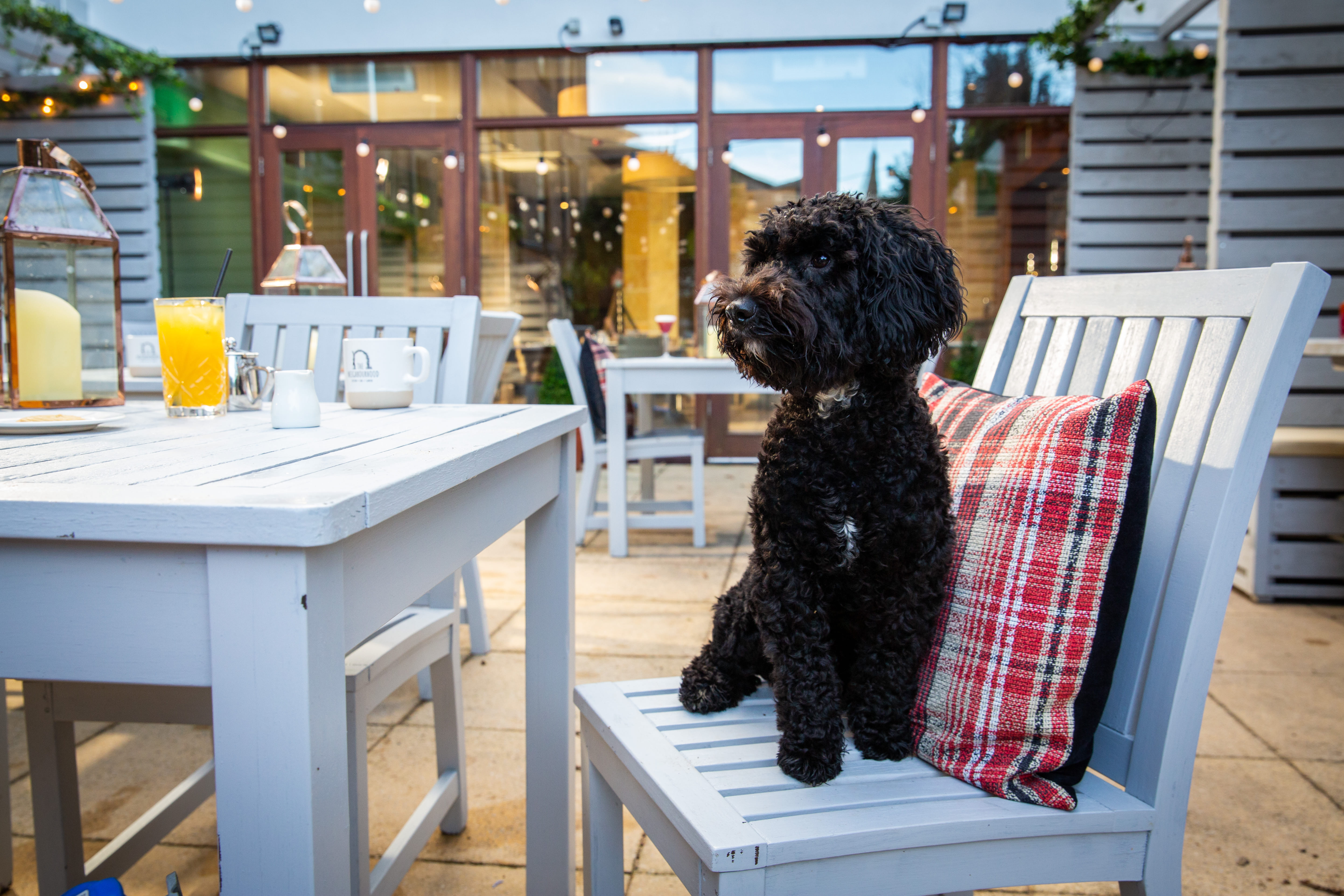 The Neighbourhood Restaurant & Pub 3