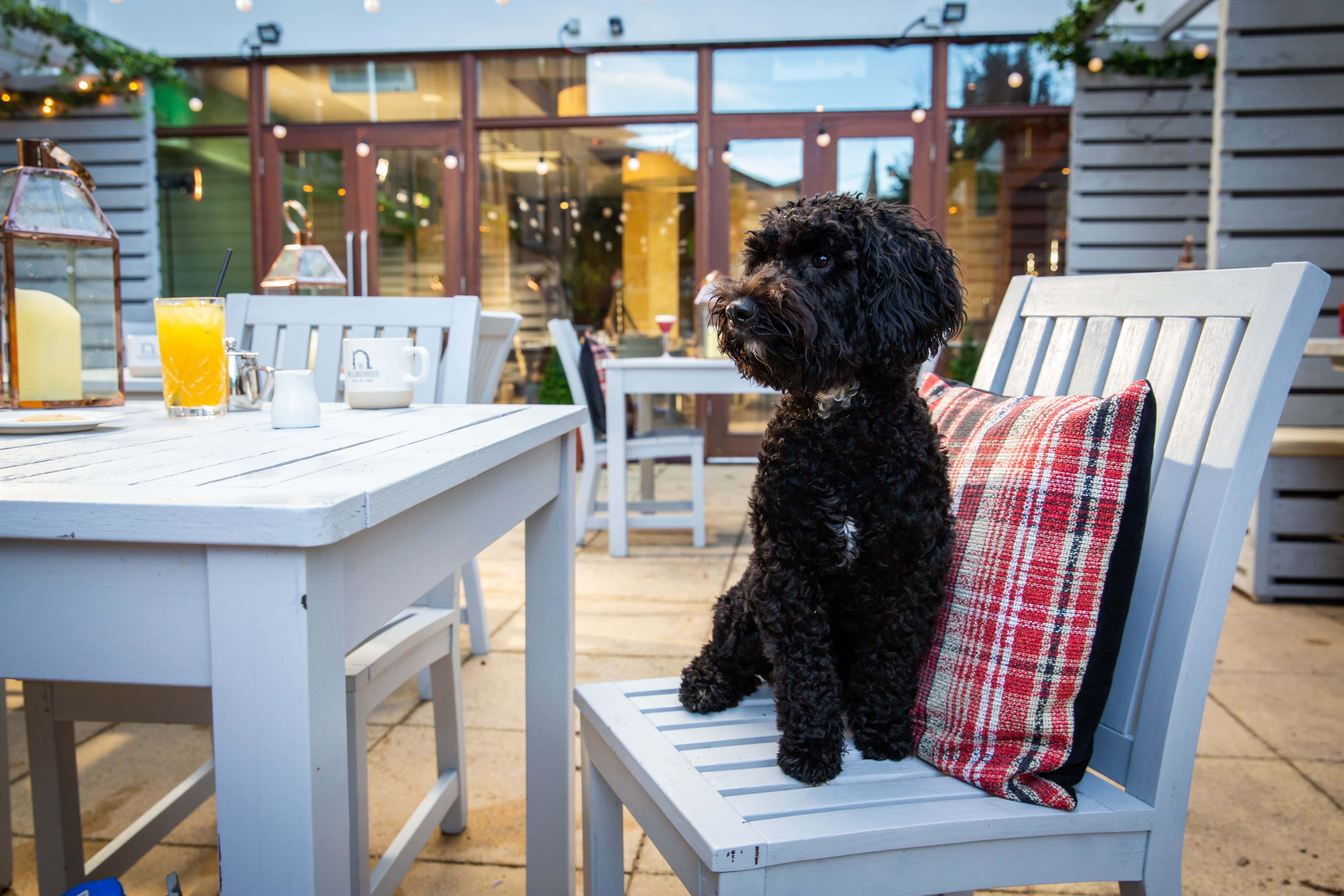 The Neighbourhood Restaurant & Pub 3