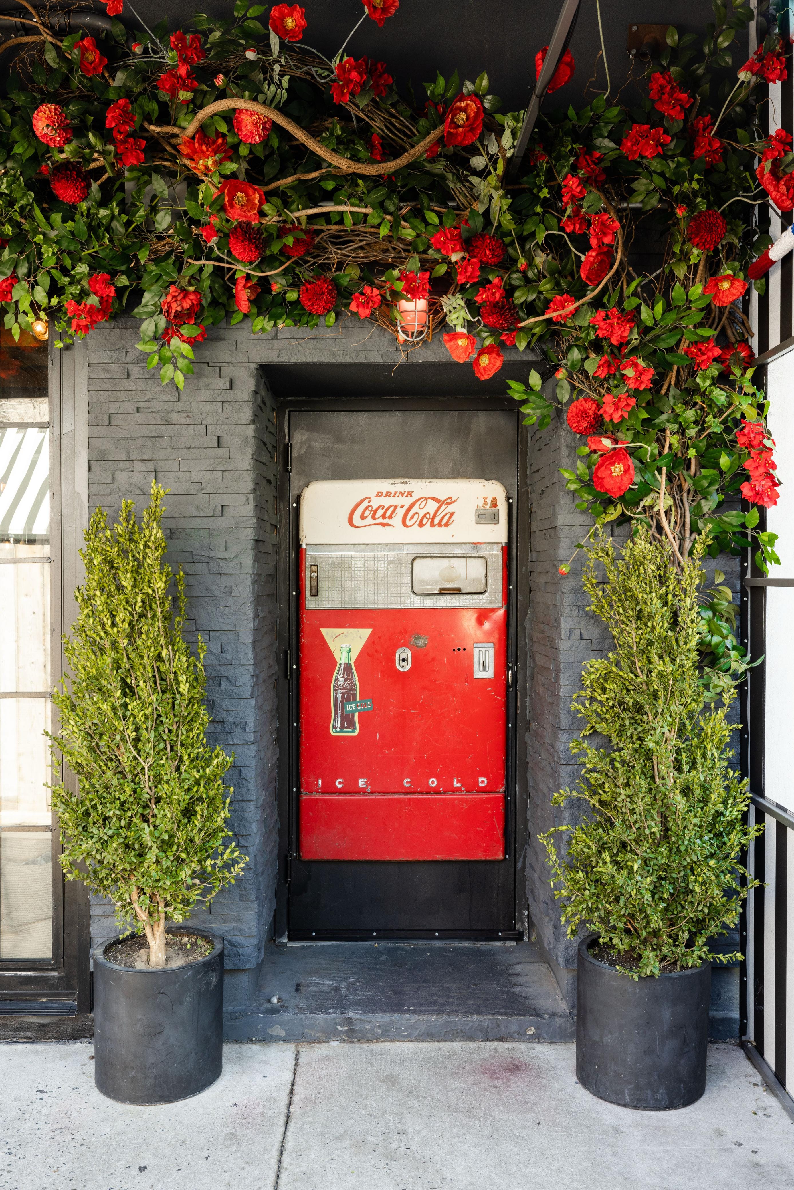 Adelaide's Salon - Speakeasy 7