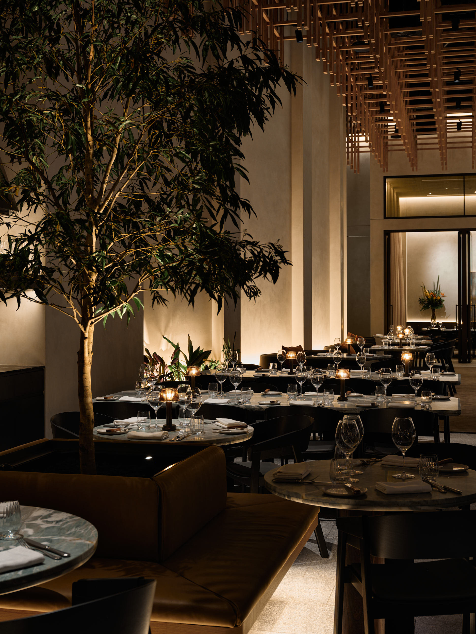 Bistro Ebony Exclusively  1