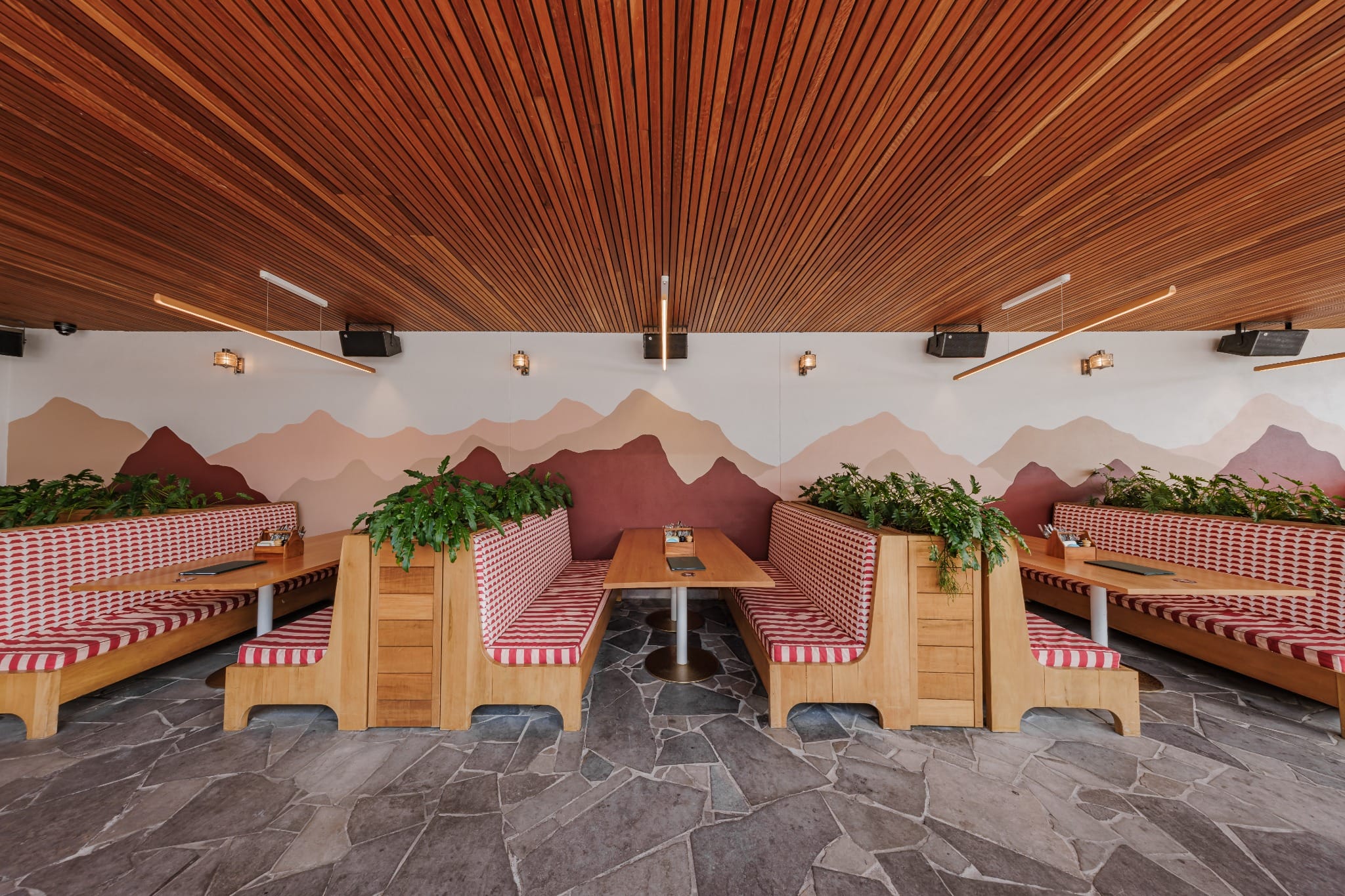 Roof Top Exclusive 5