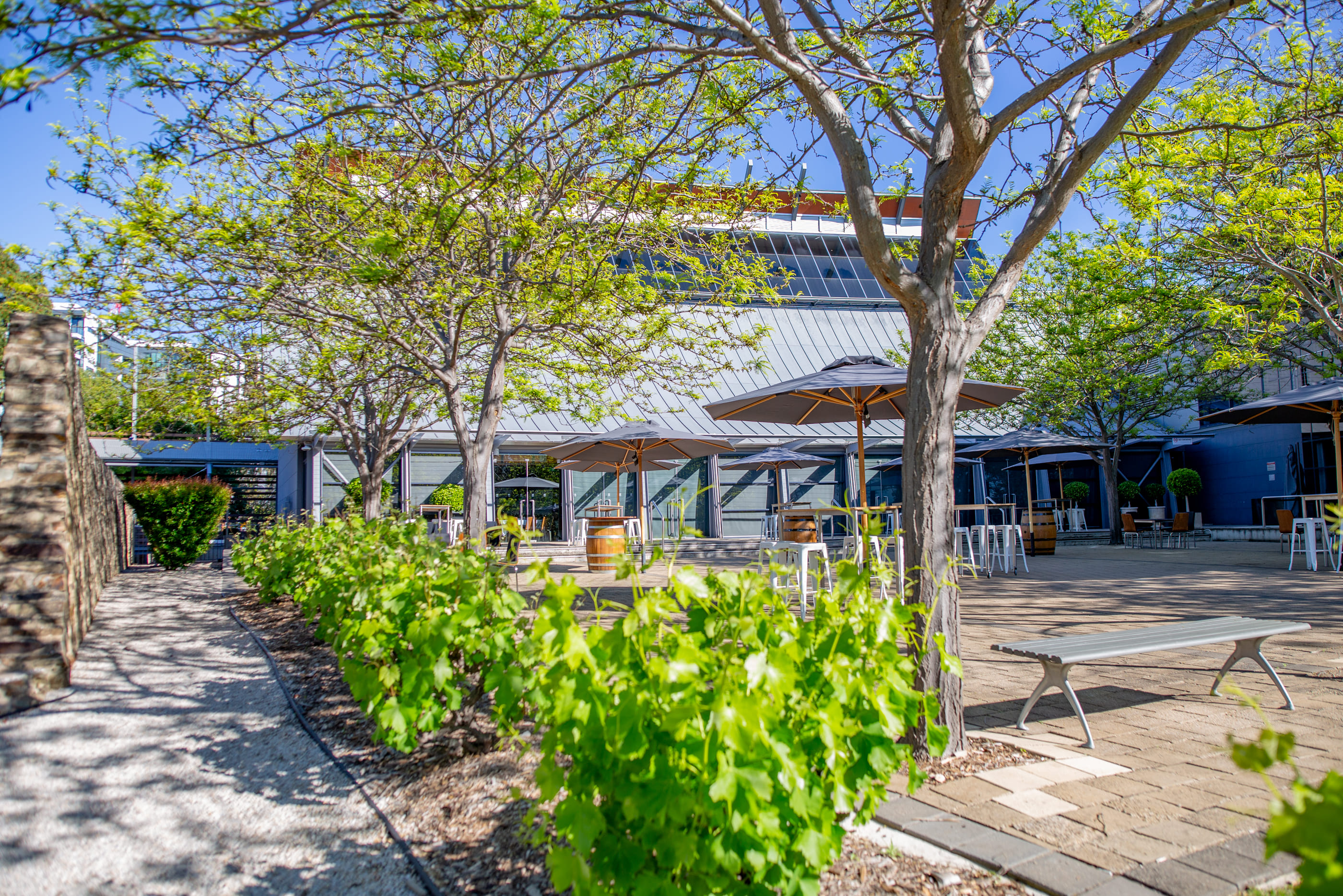 Hickinbotham Terrace