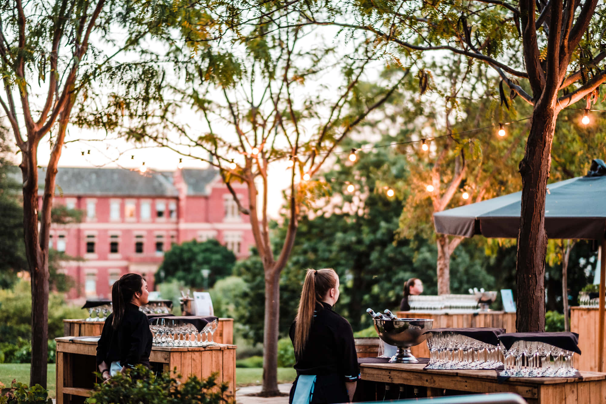 Hickinbotham Terrace 1