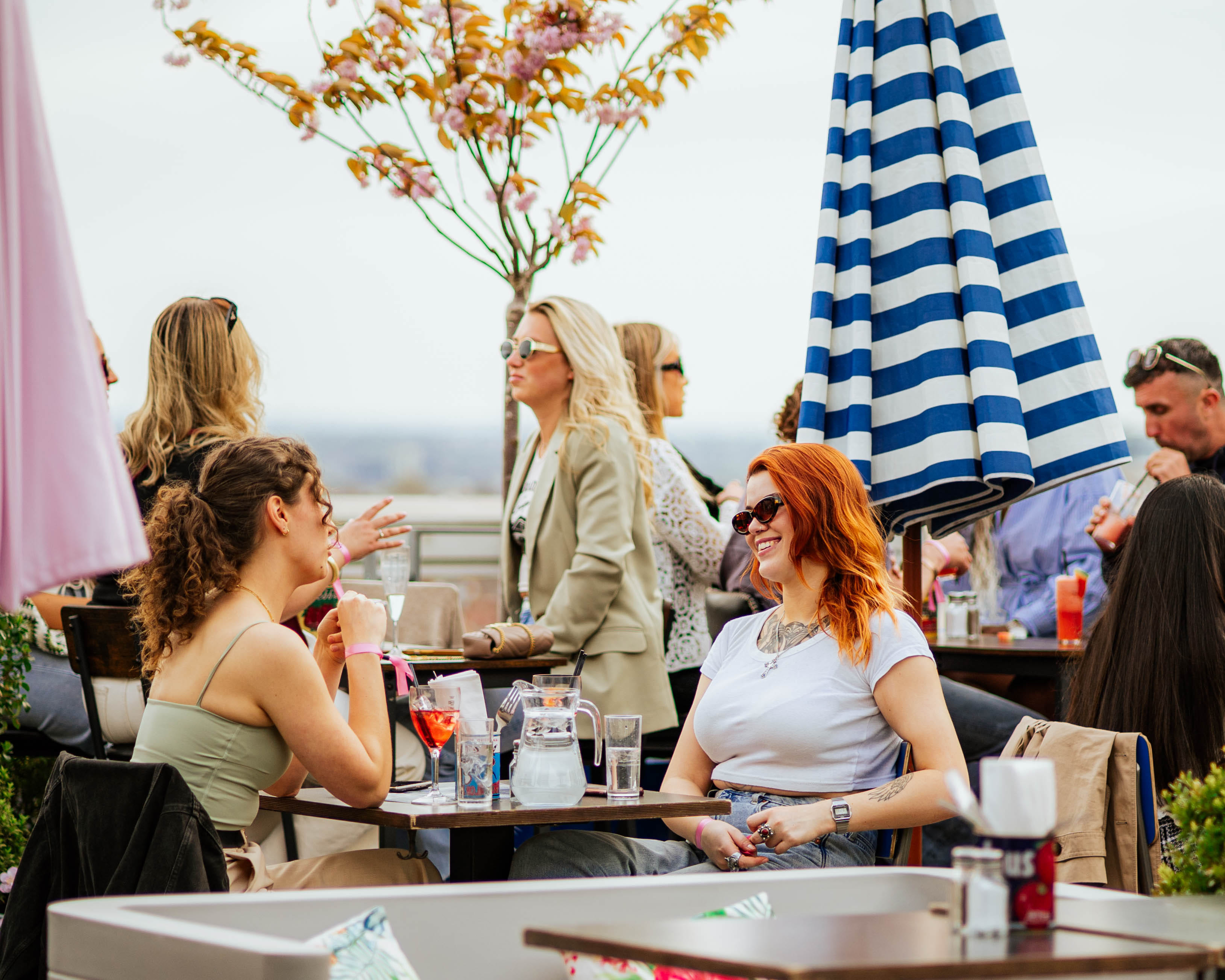 Skylark Roof Garden 3