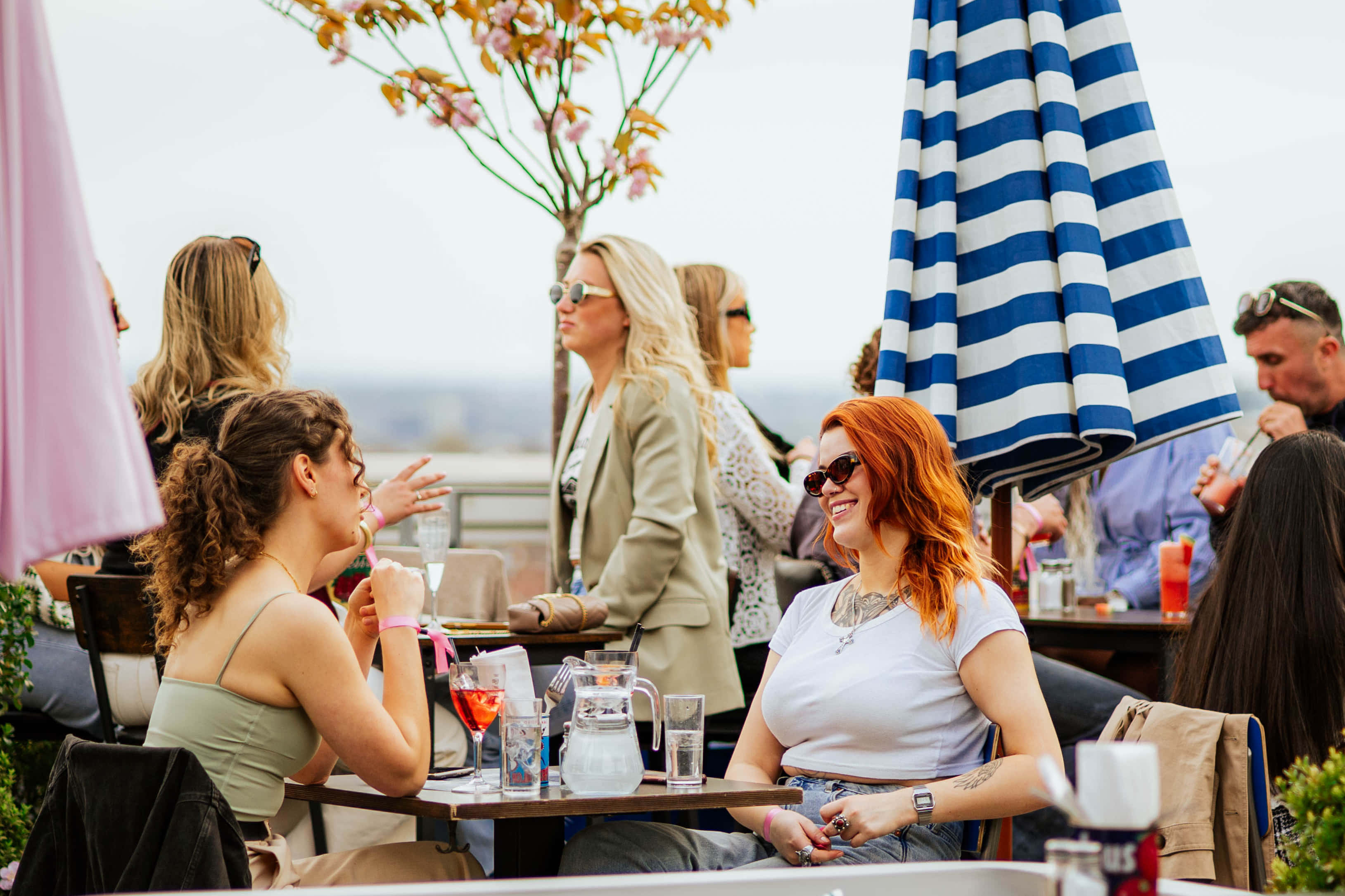 Skylark Roof Garden 3