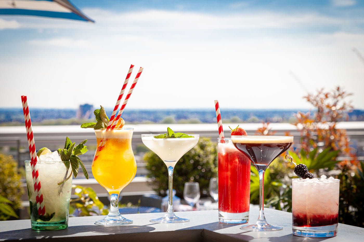 Skylark Roof Garden 6