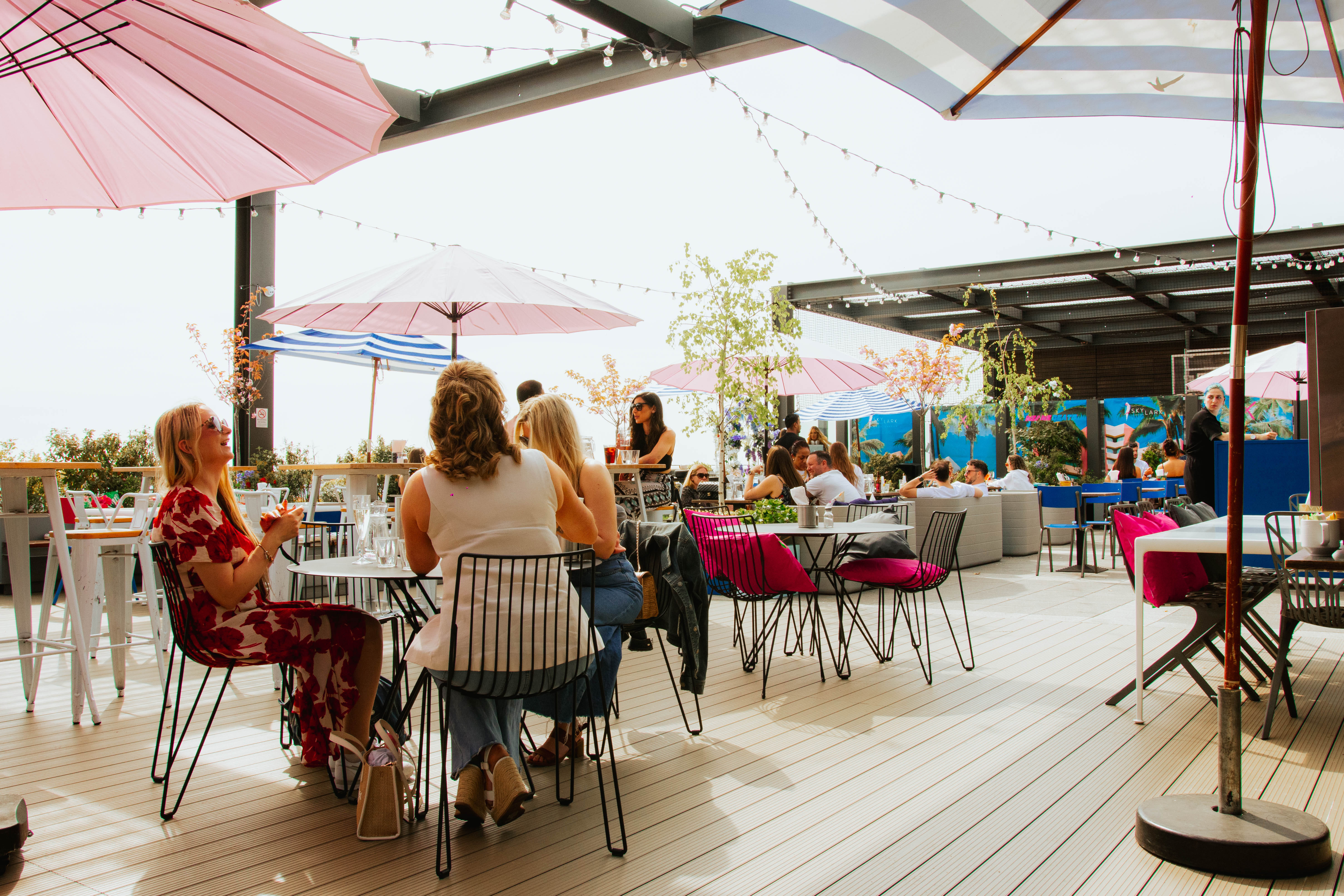 Skylark Roof Garden 1