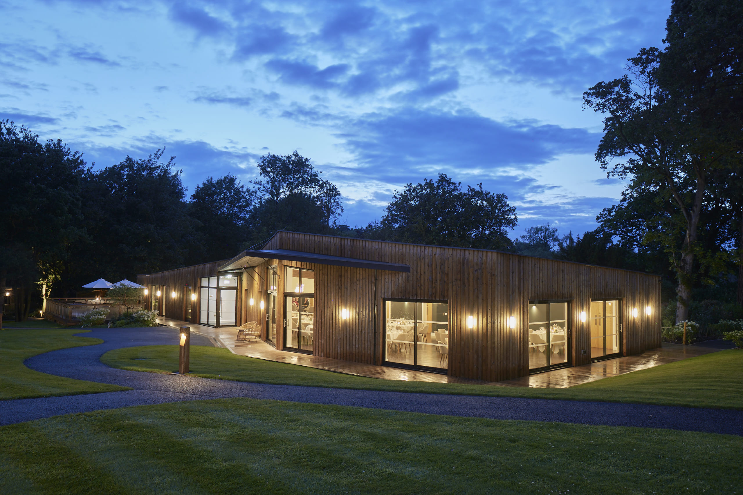 Sapwood 6