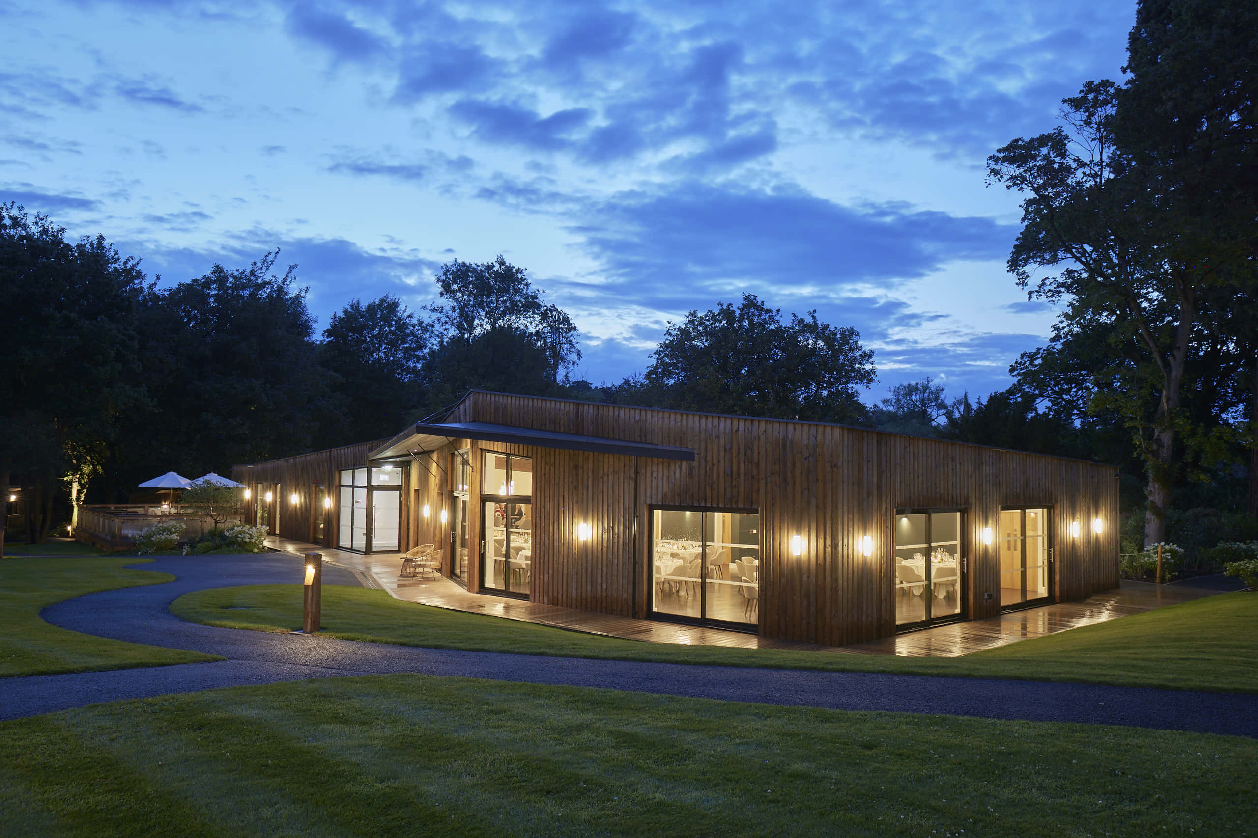 Sapwood 6