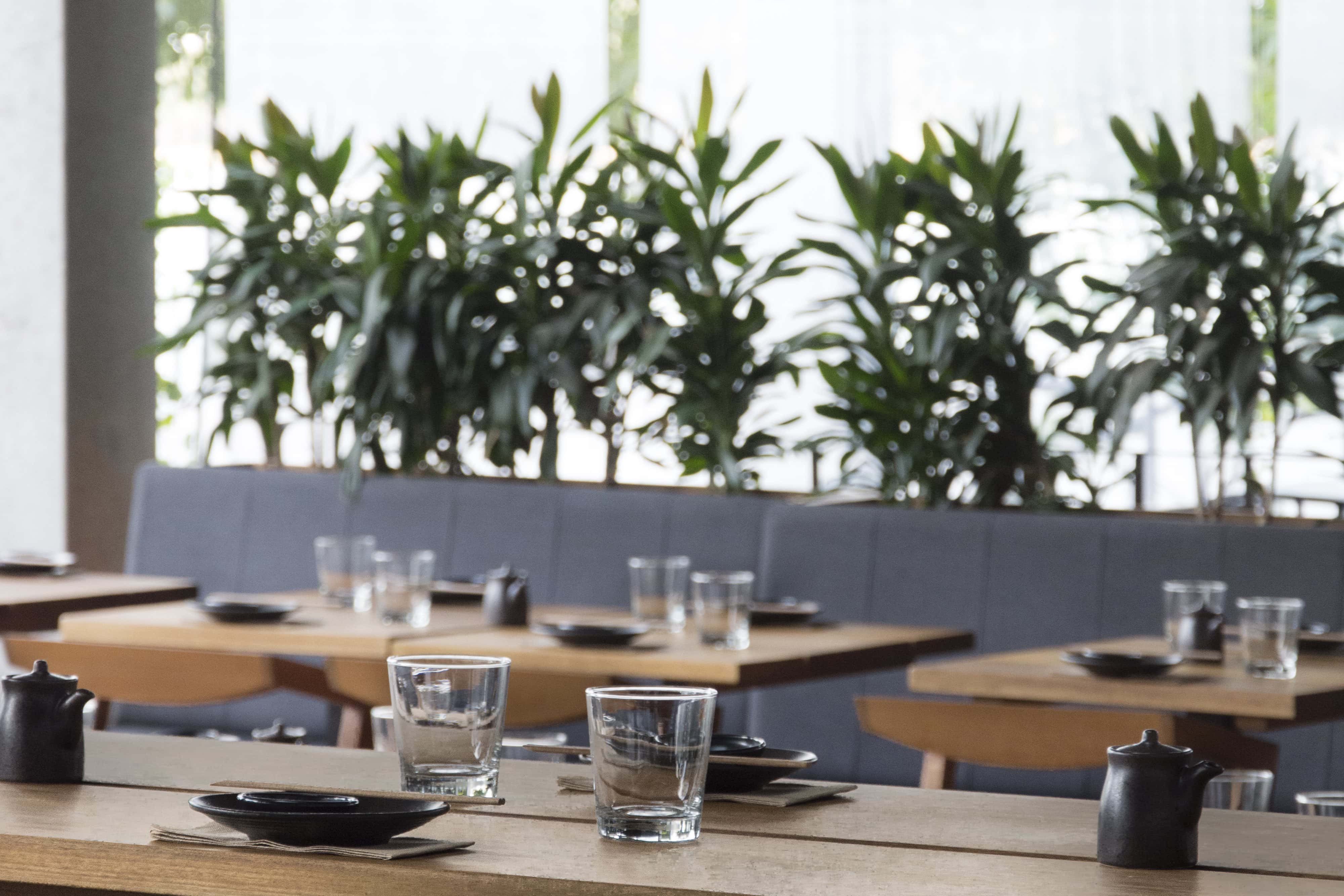 Waterfront dining 2