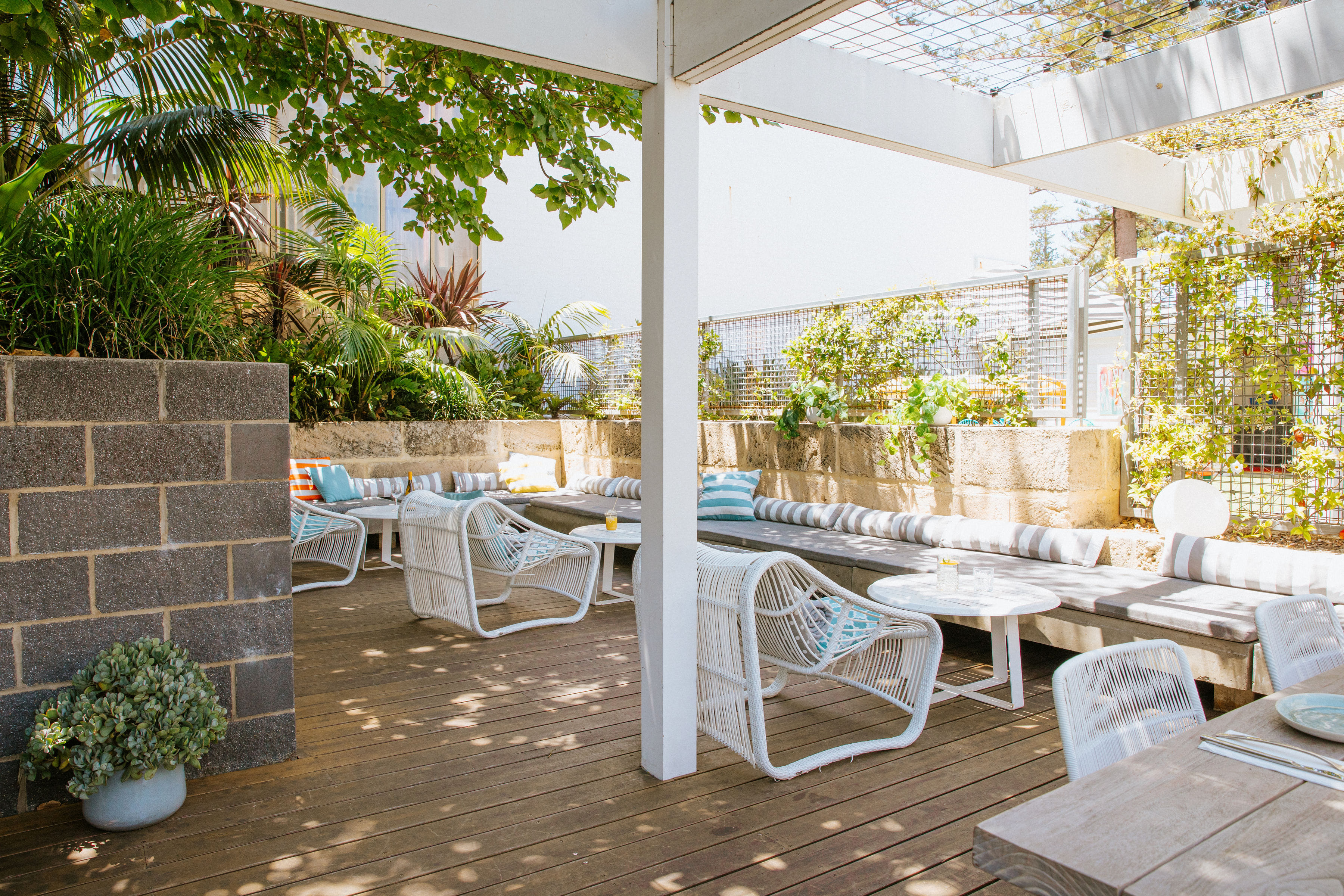 The Deck