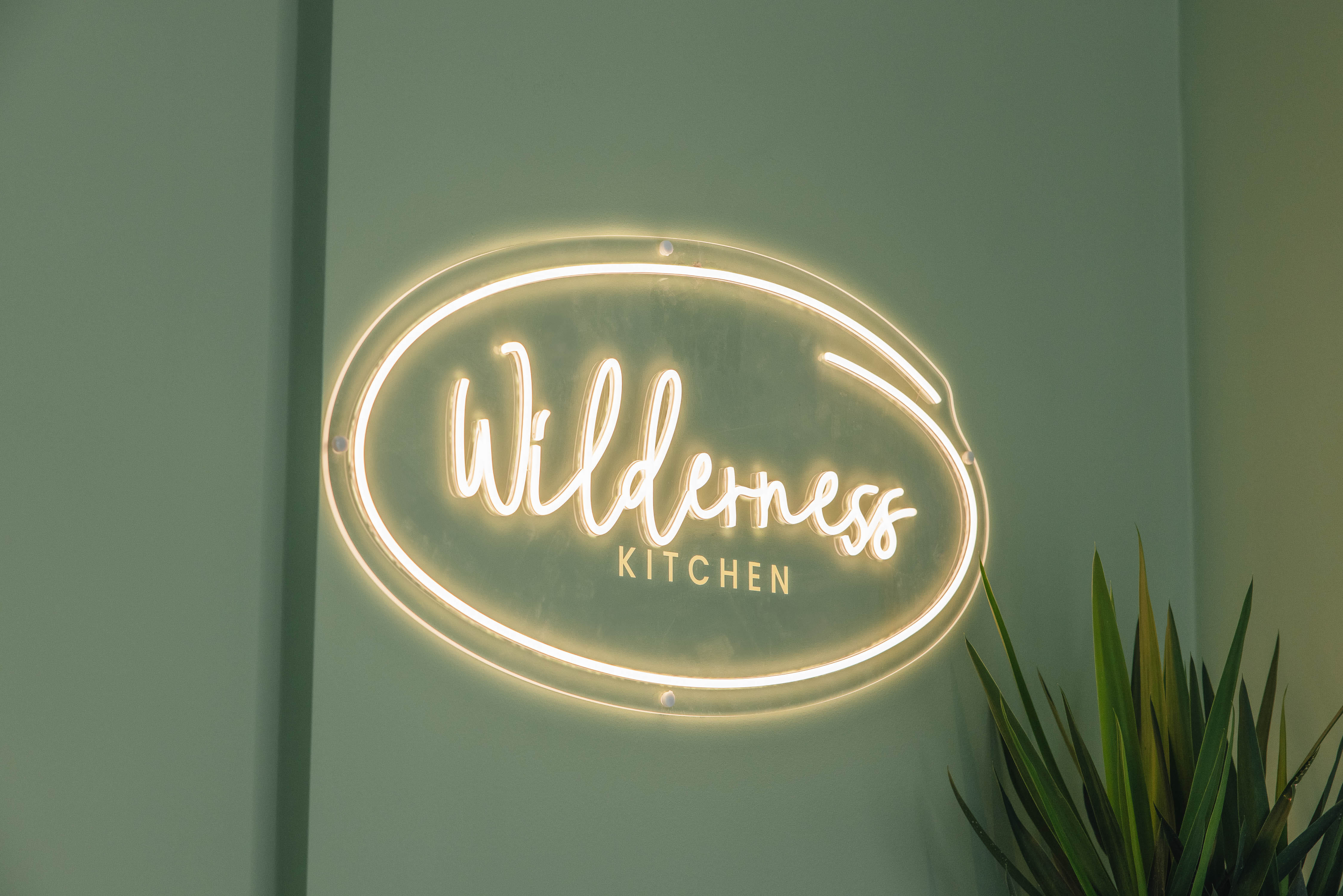 Wilderness 4