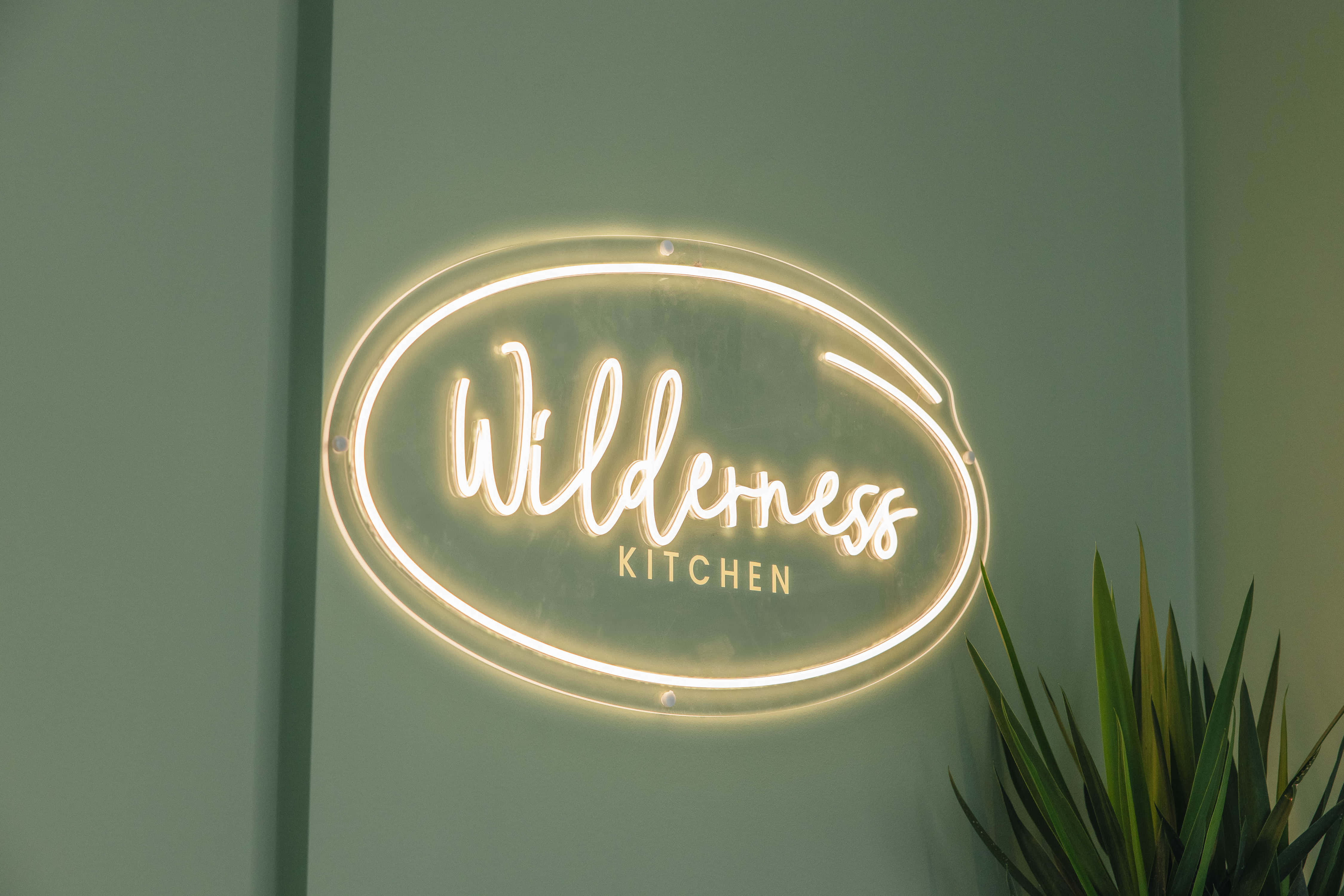 Wilderness 4