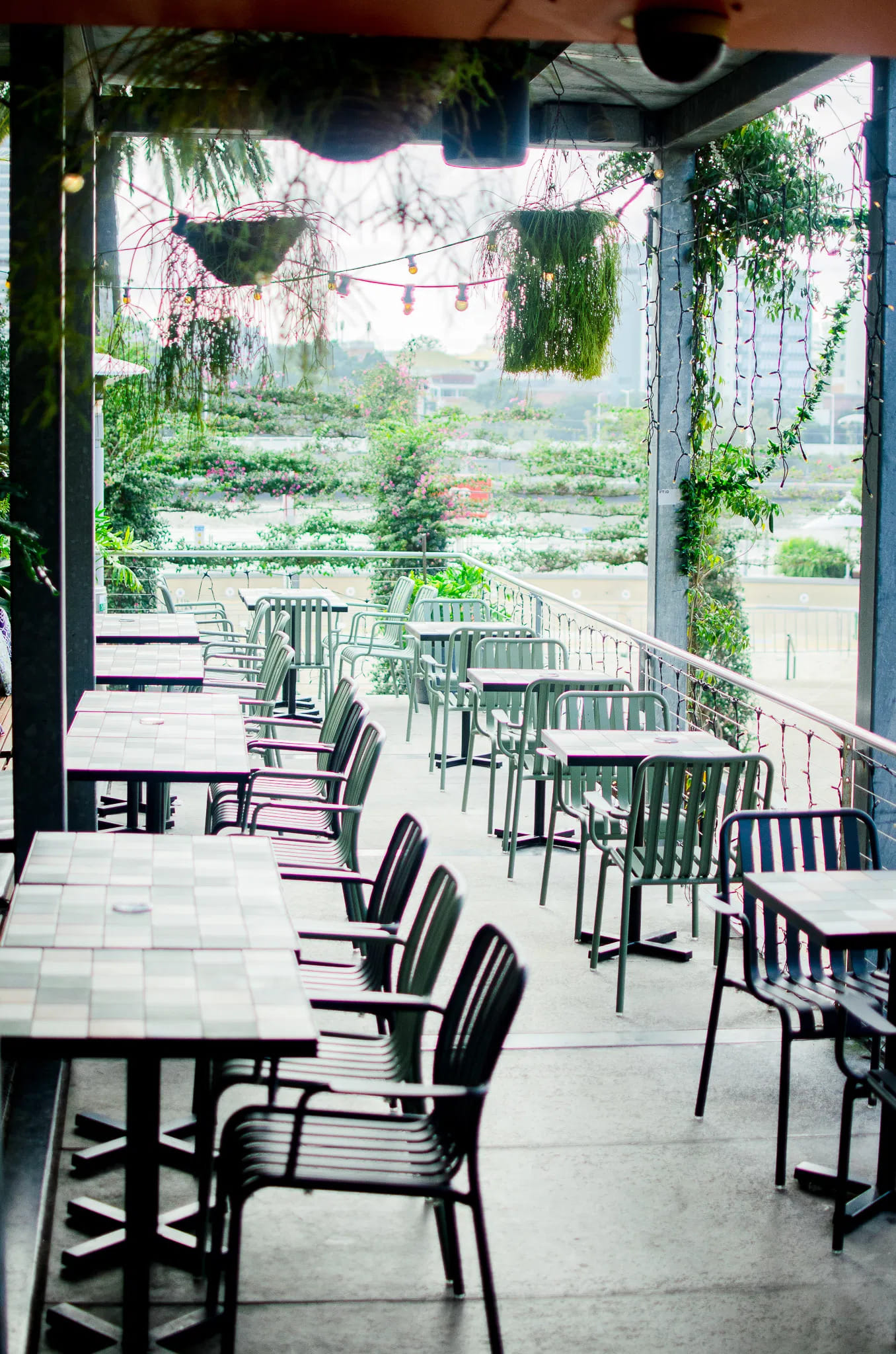The Terrace