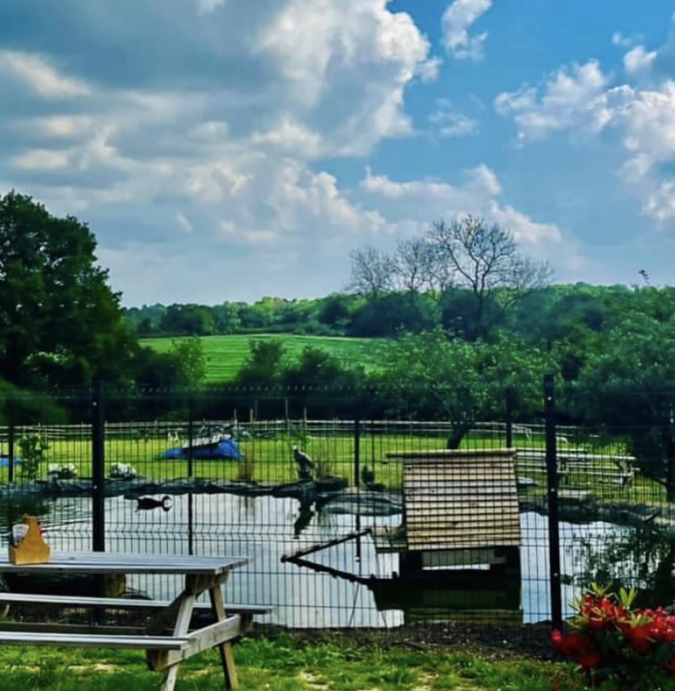 Large Field Space in beautiful countryside setting  1