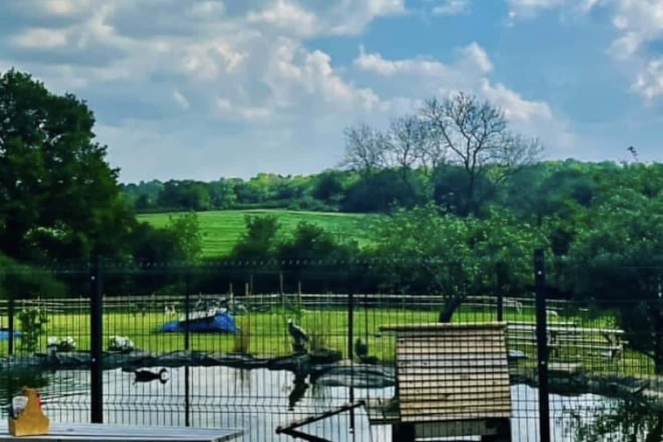 Large Field Space in beautiful countryside setting 1