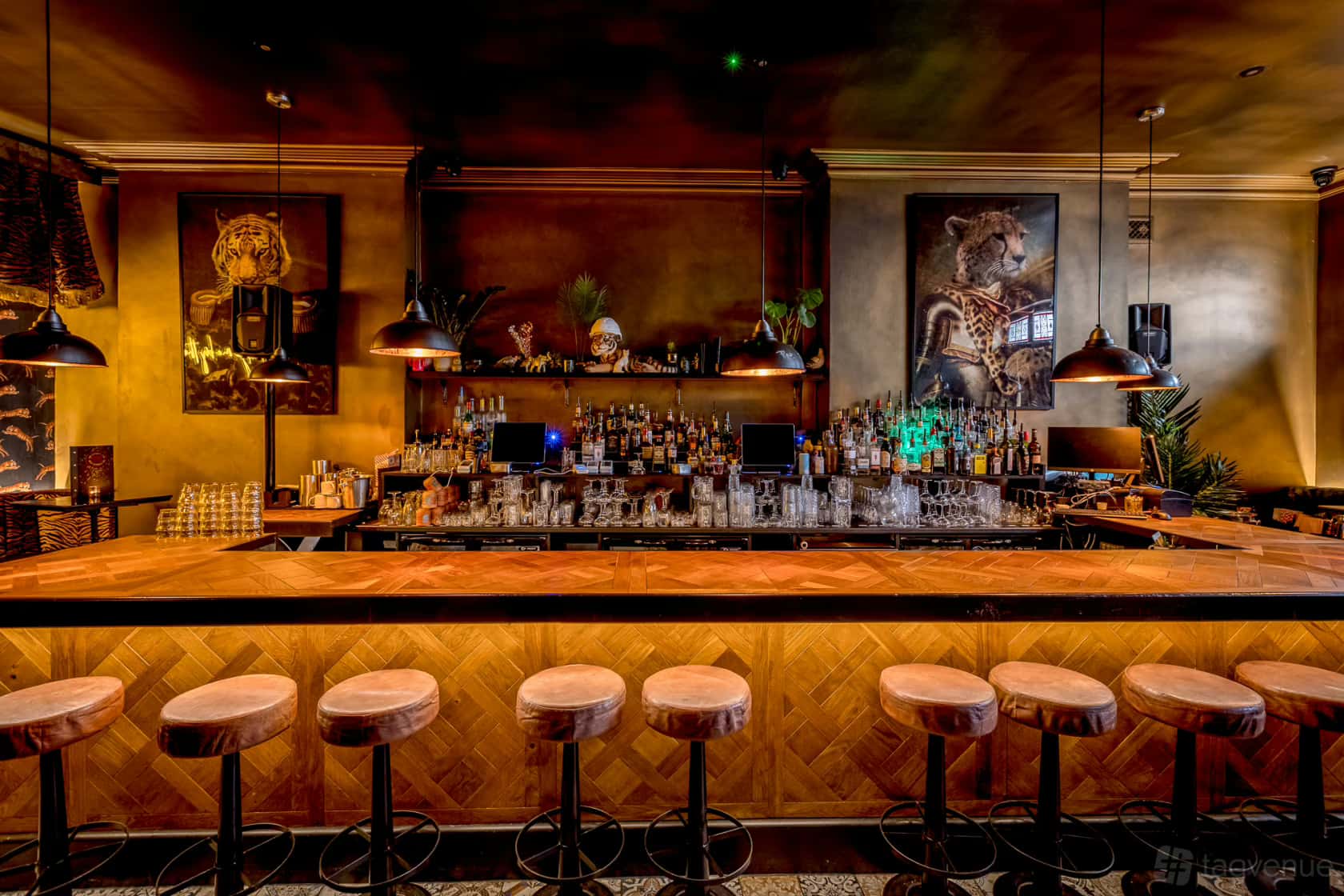 The Tiger Bar (Ground Floor) 3