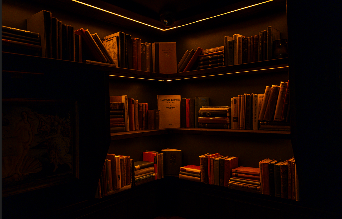 The Library 3