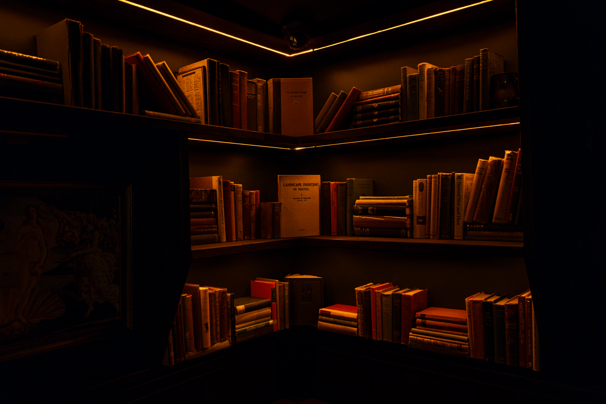 The Library 3