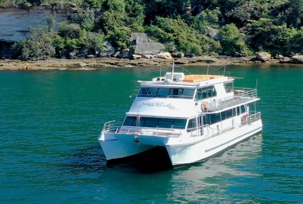 Jerry Bailey 70" Motor Catamaran 2