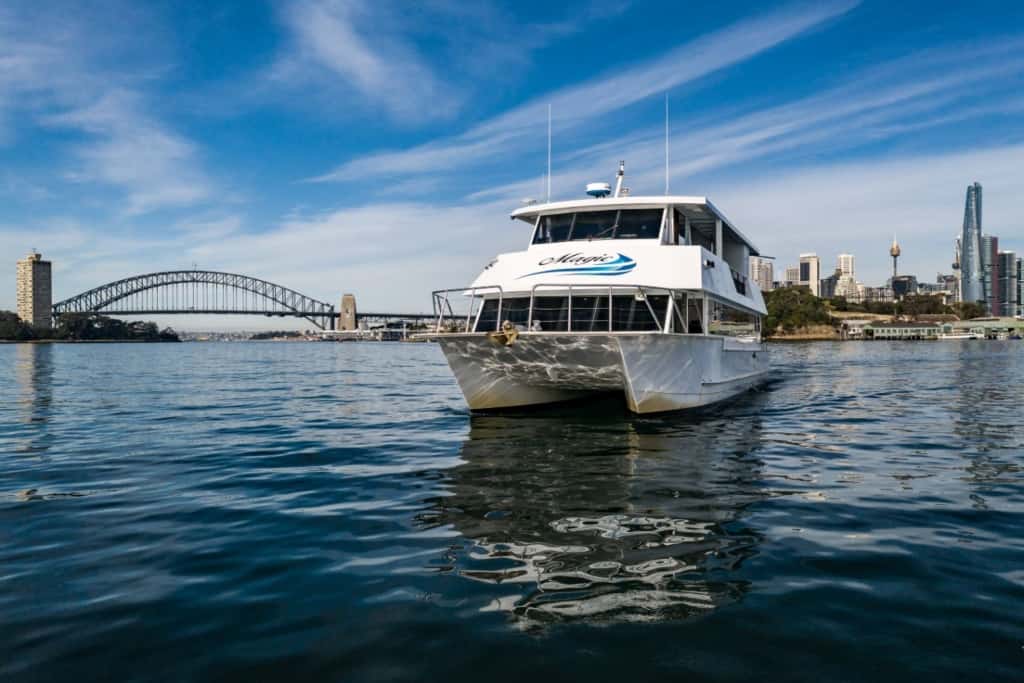 Magic 66’ Motor Catamaran 2