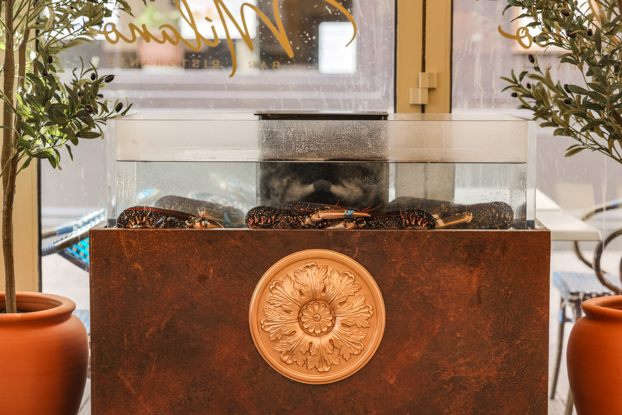 Milano Bar & Ristorante - Exclusive Hire 2