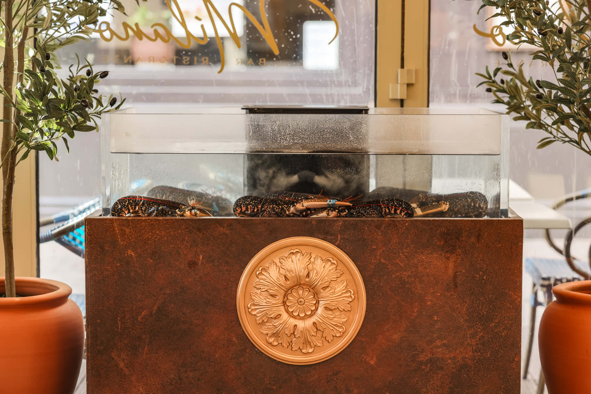 Milano Bar & Ristorante - Exclusive Hire 2