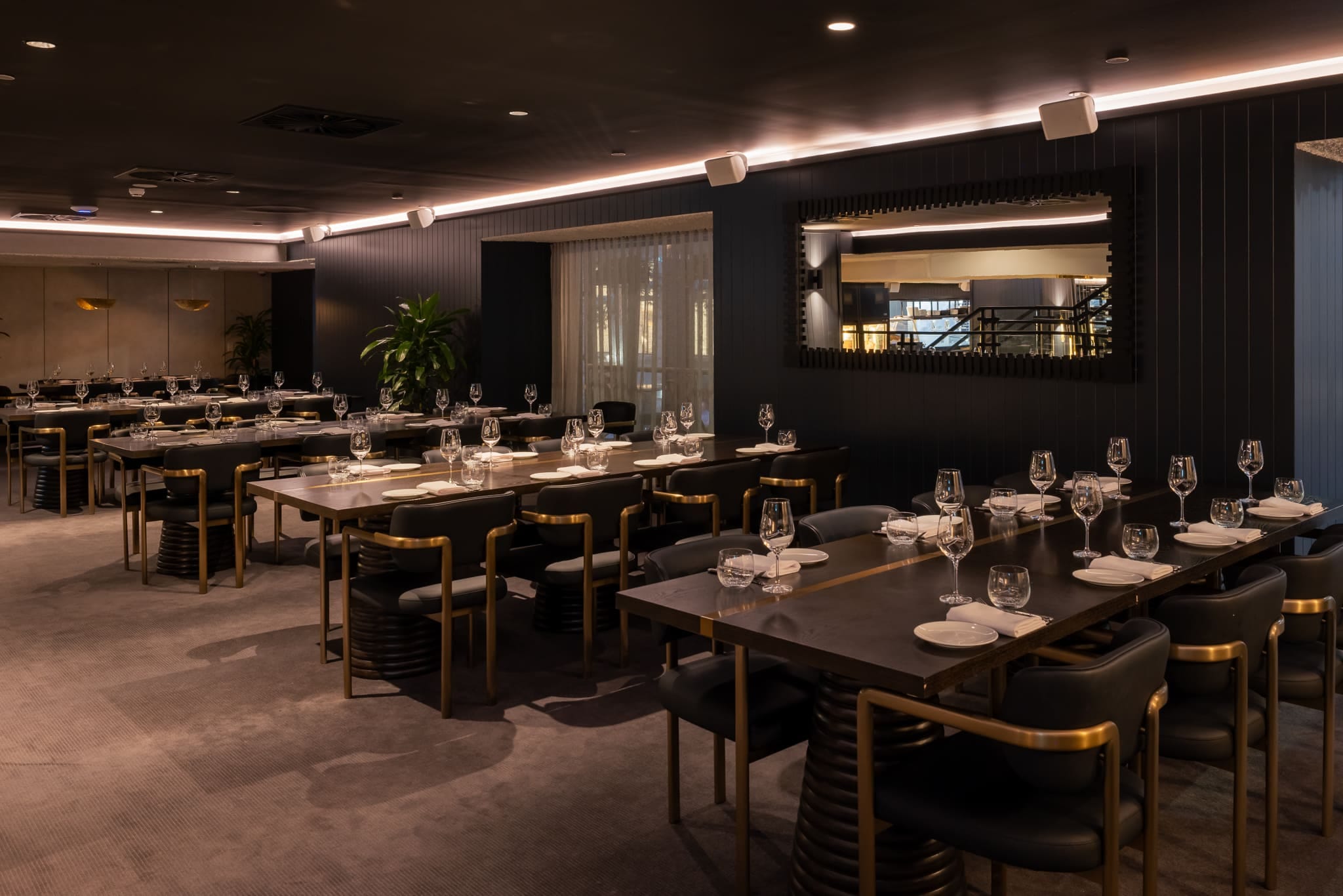 Restaurant Exclusive 2