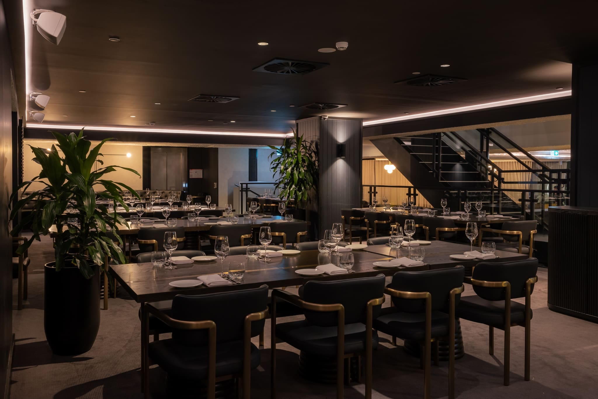 Restaurant Exclusive 5
