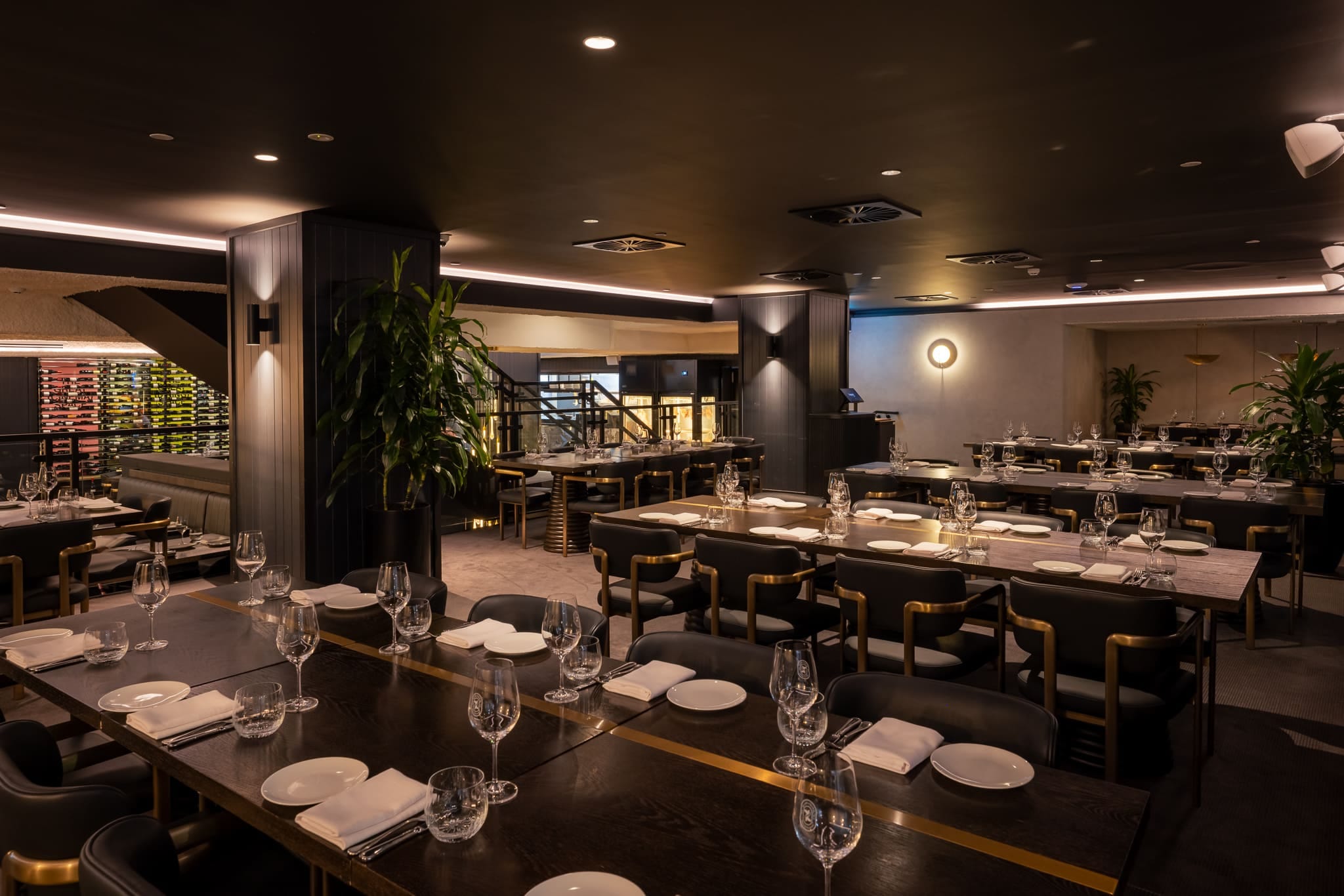 Restaurant Exclusive 1
