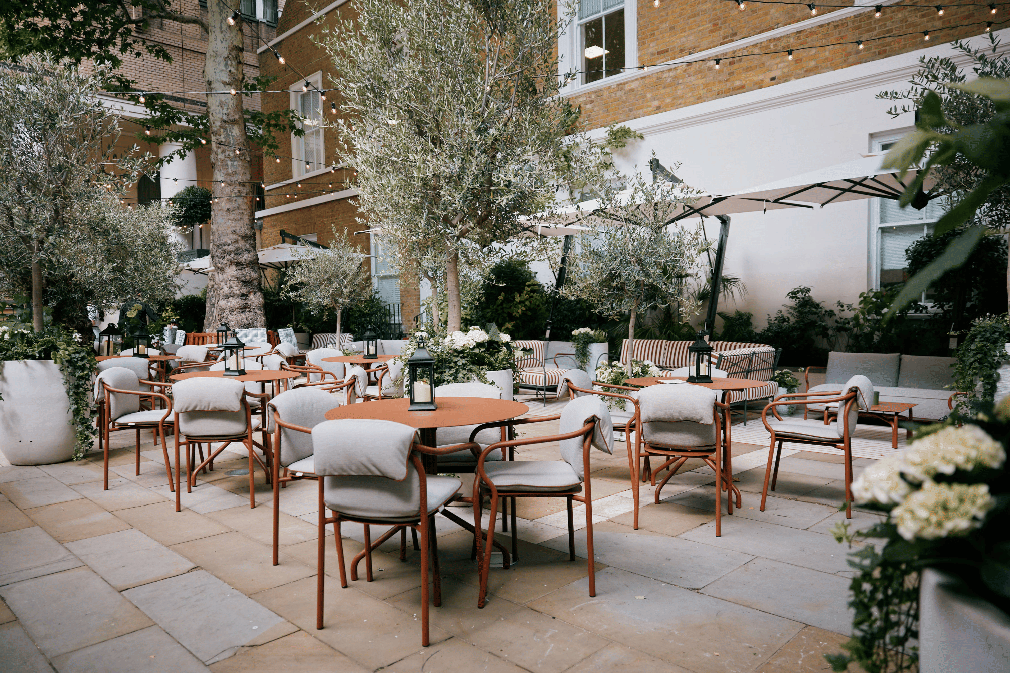 La Terraza 1