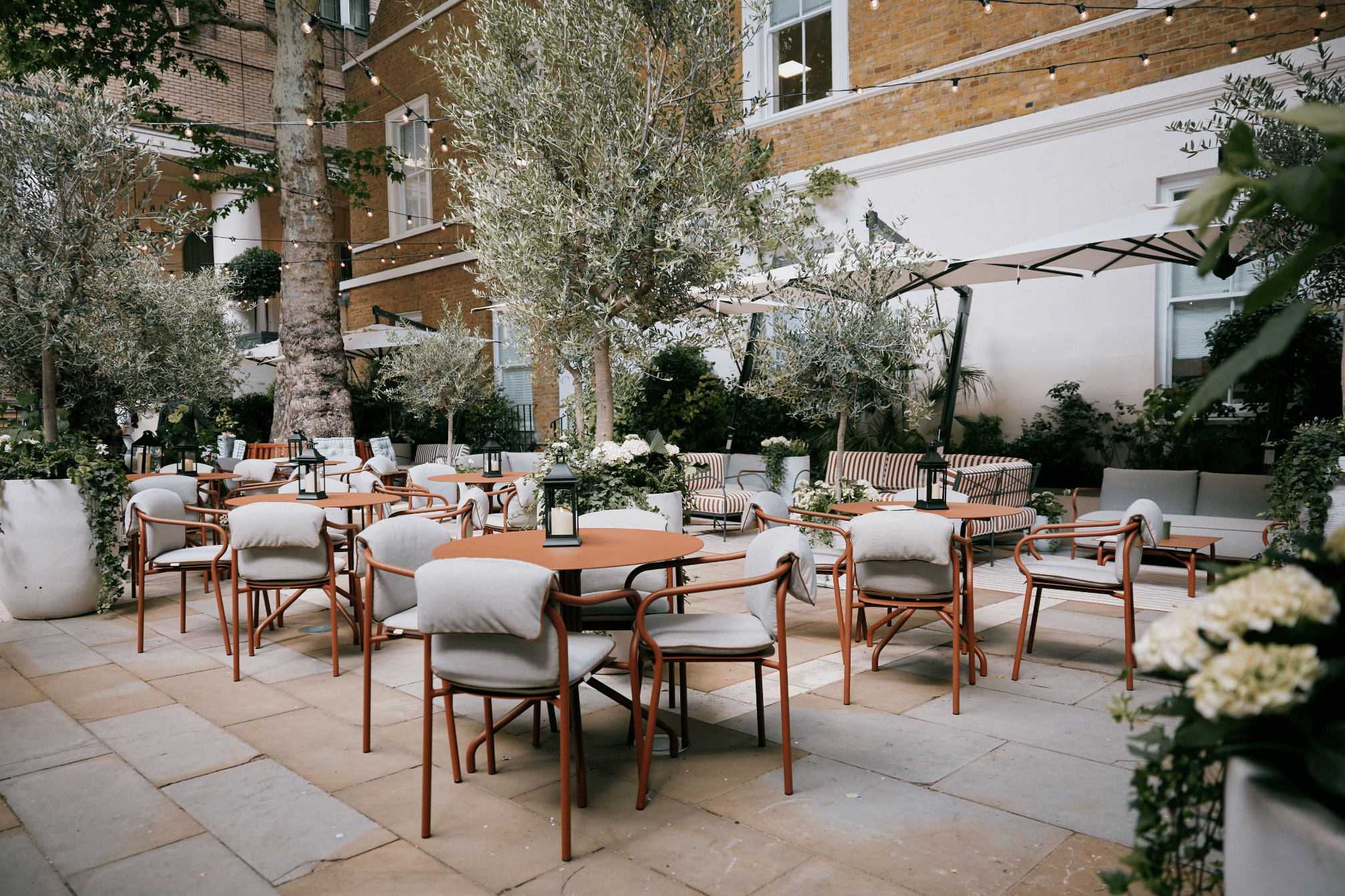 La Terraza 1
