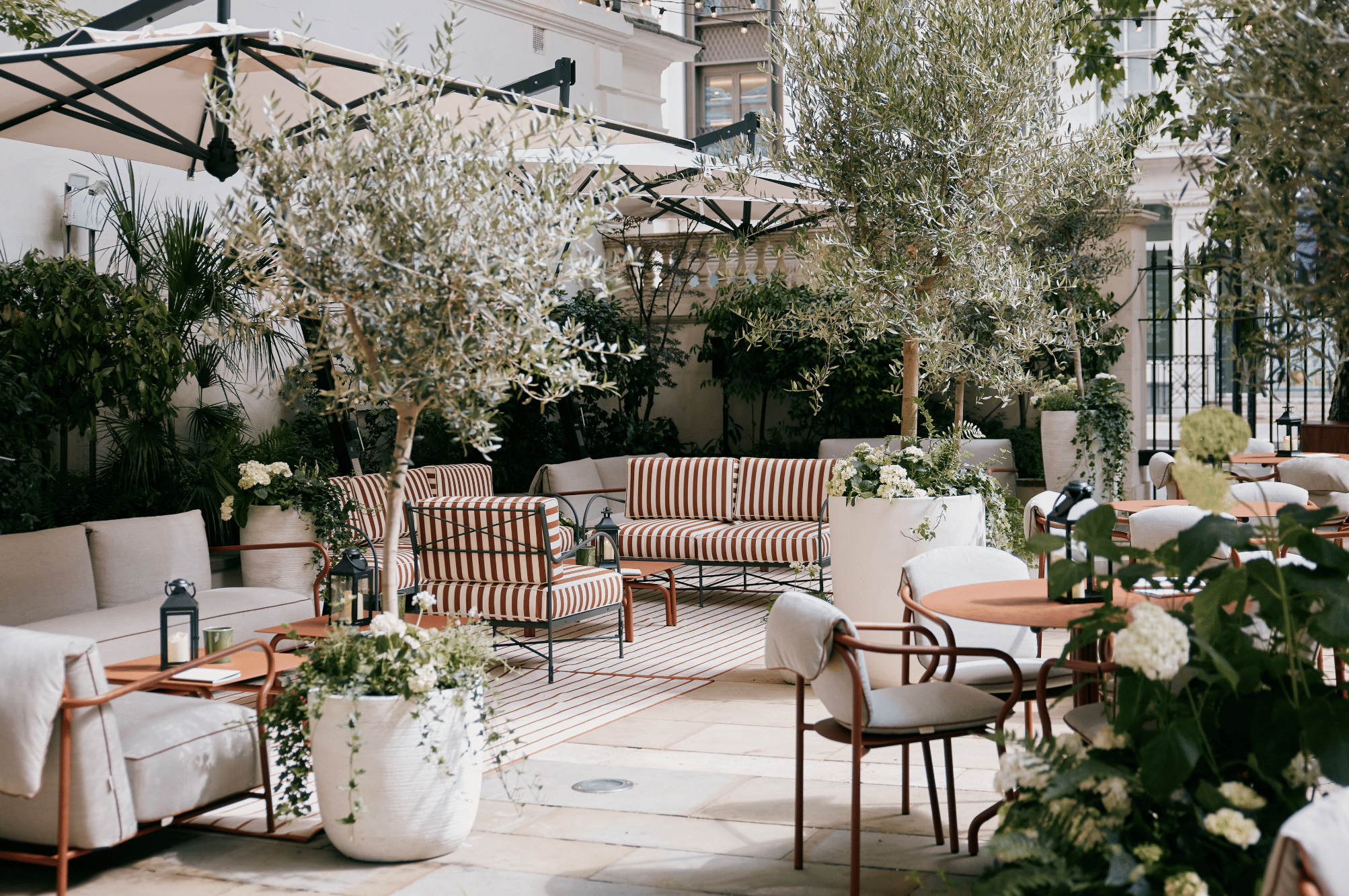 La Terraza 2