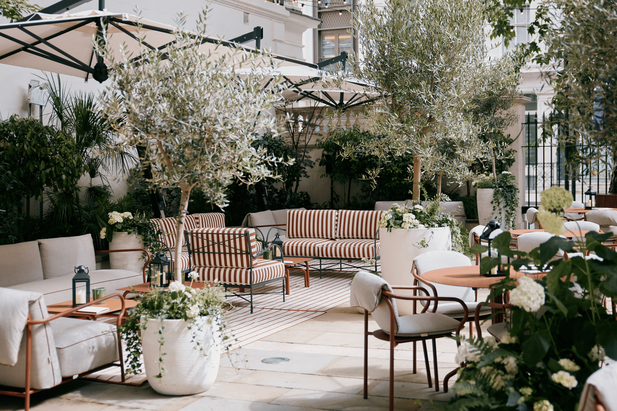 La Terraza 2