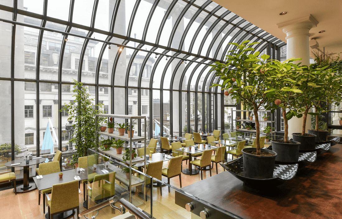 The Terrace 1