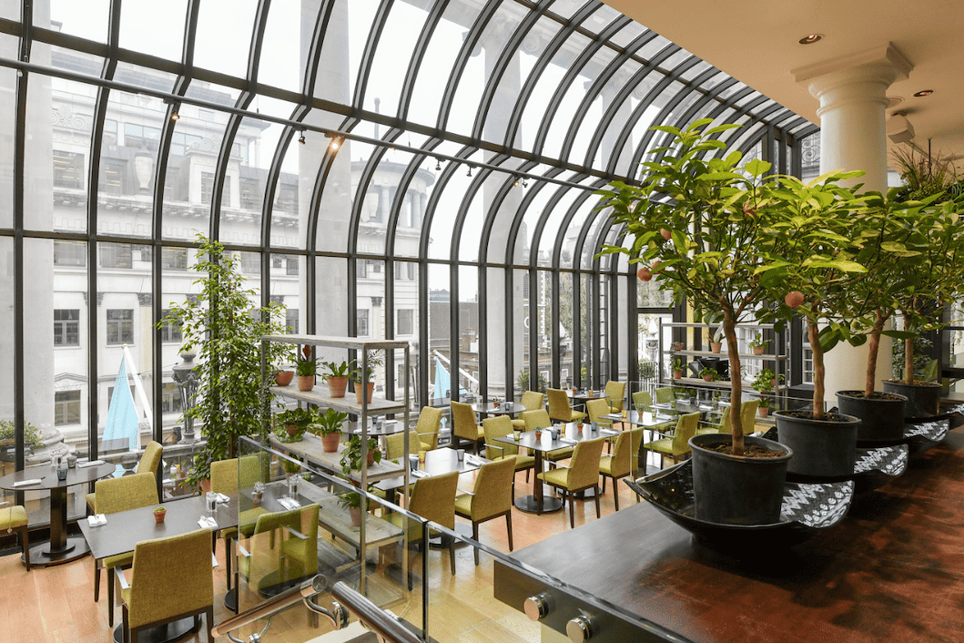 The Terrace 1
