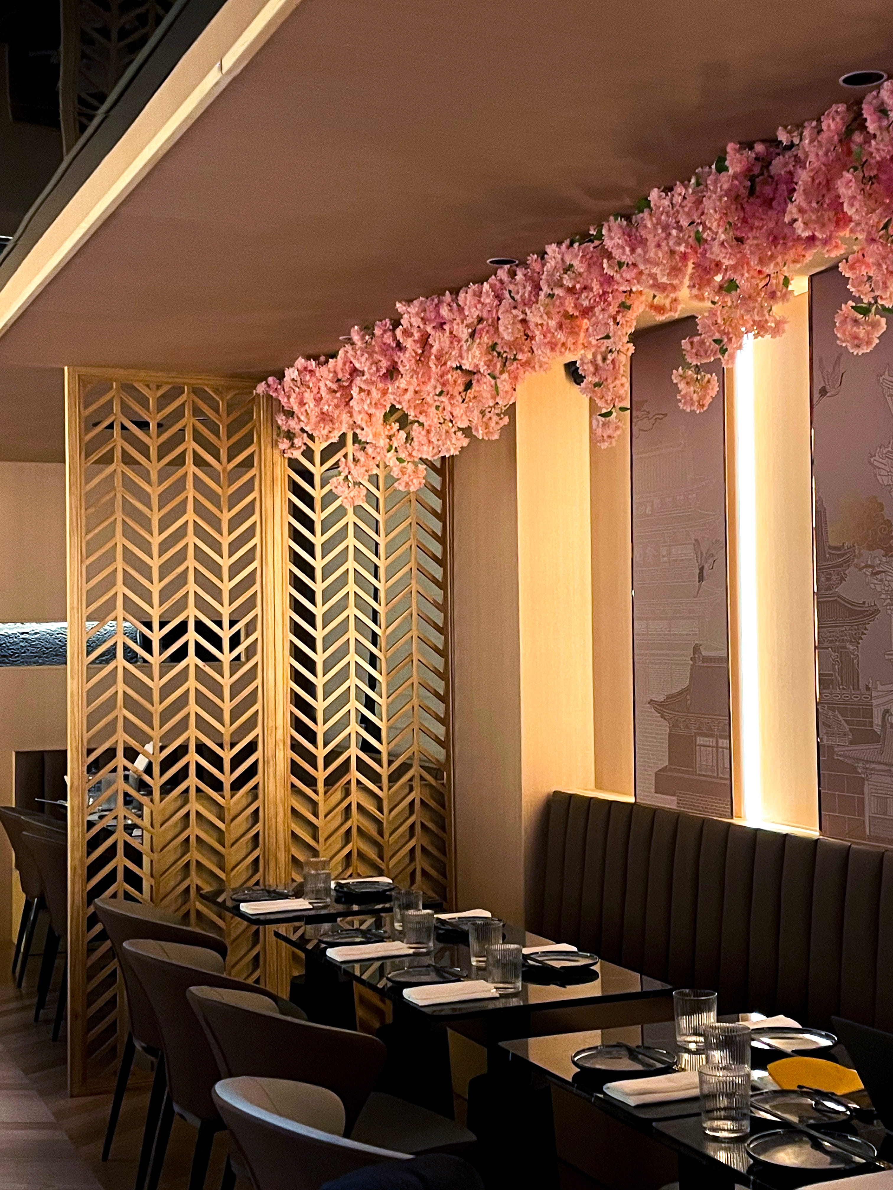 Whole Restaurant 1